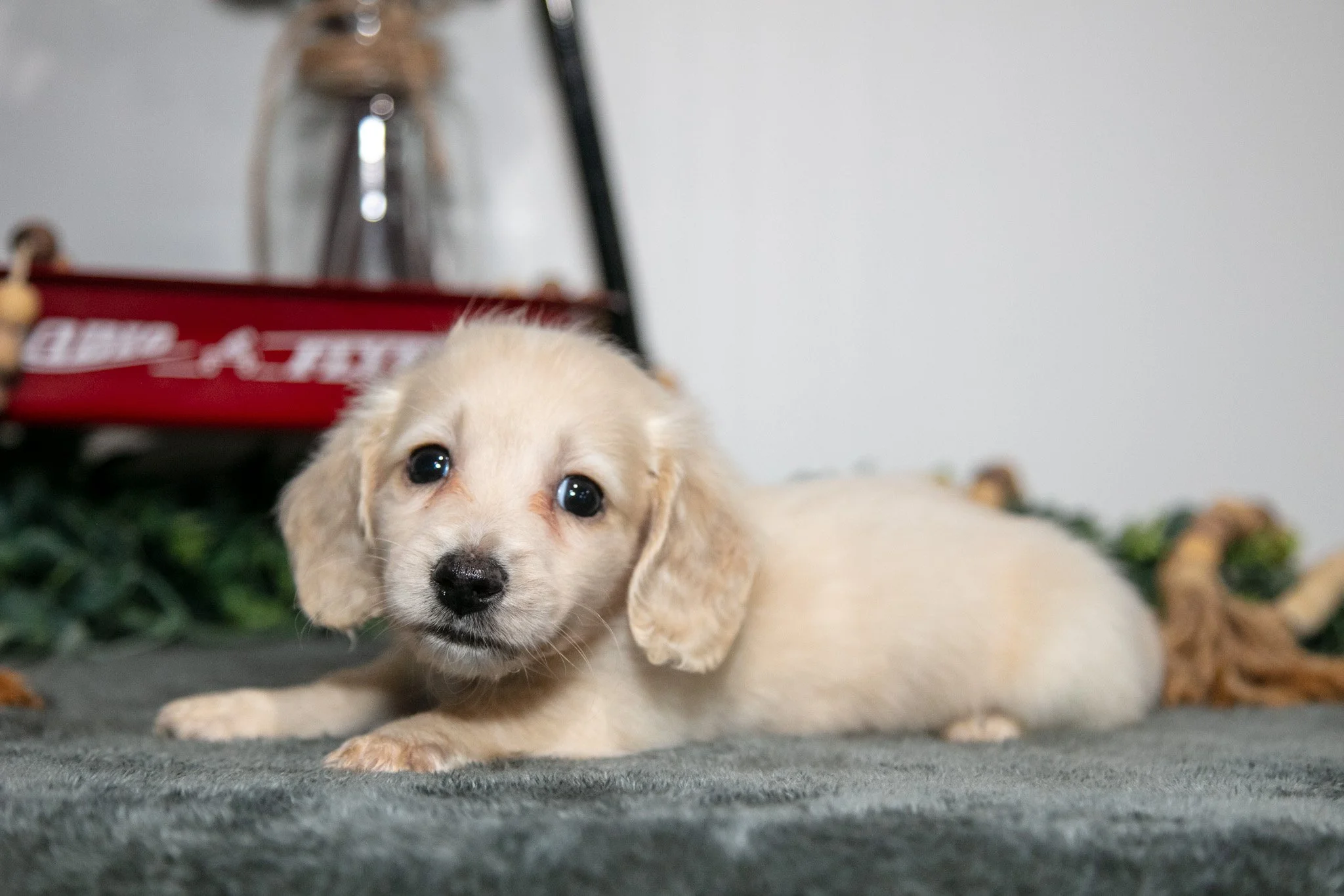 Porter - $1,800