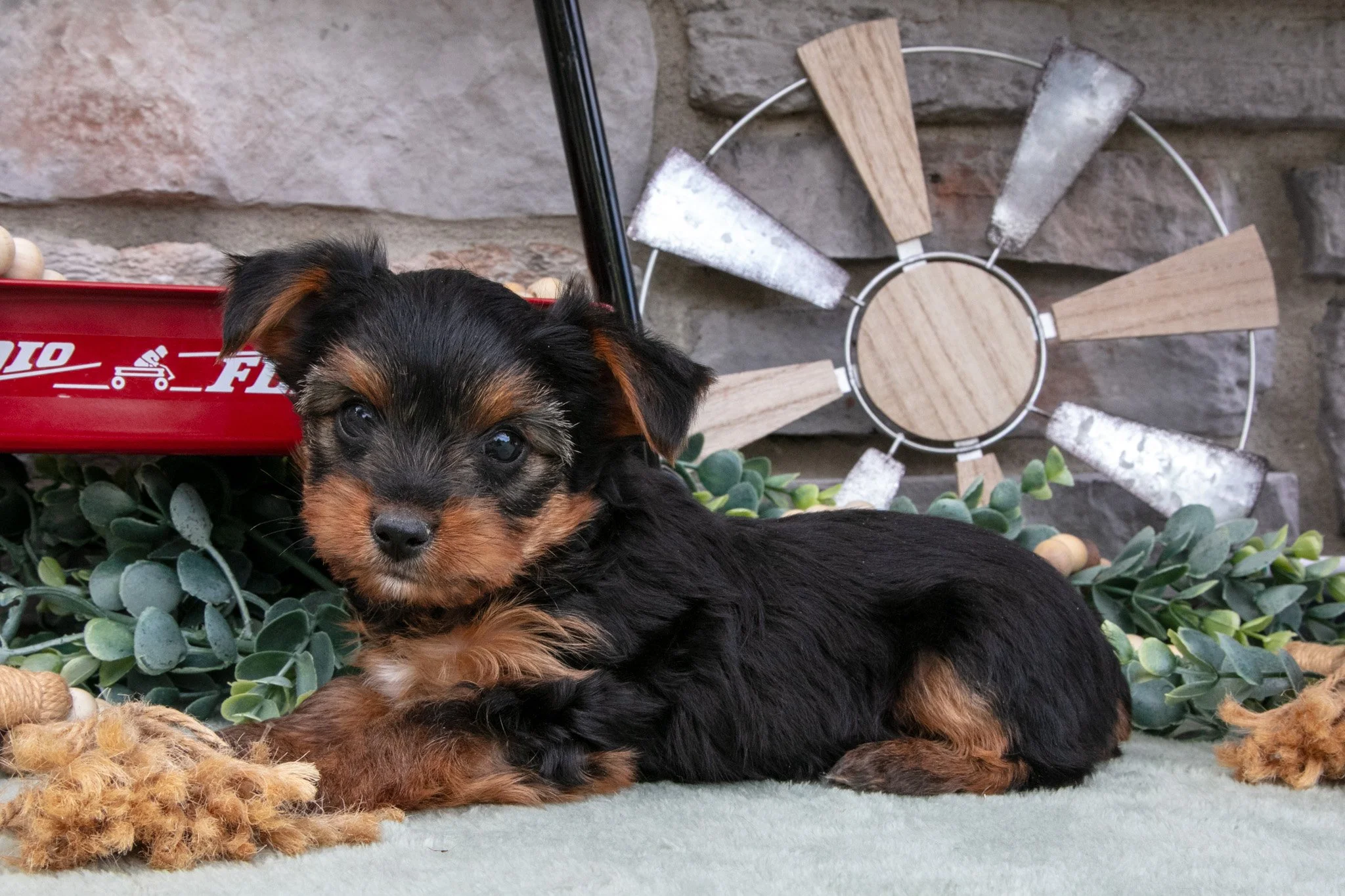 Bentley - $900