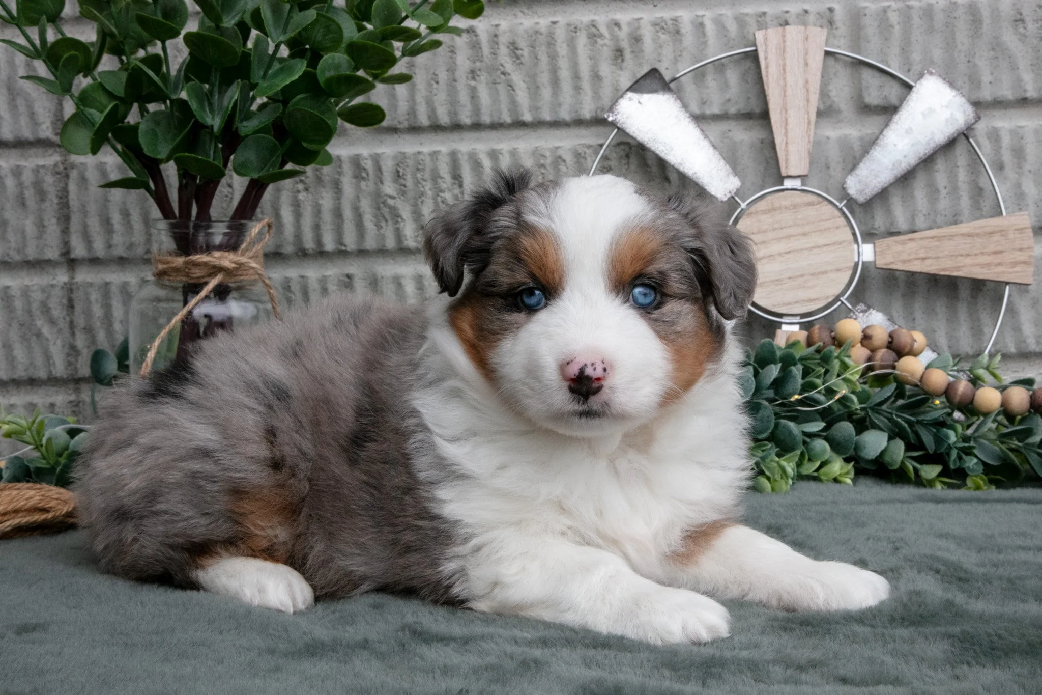 Tucker - $1,000