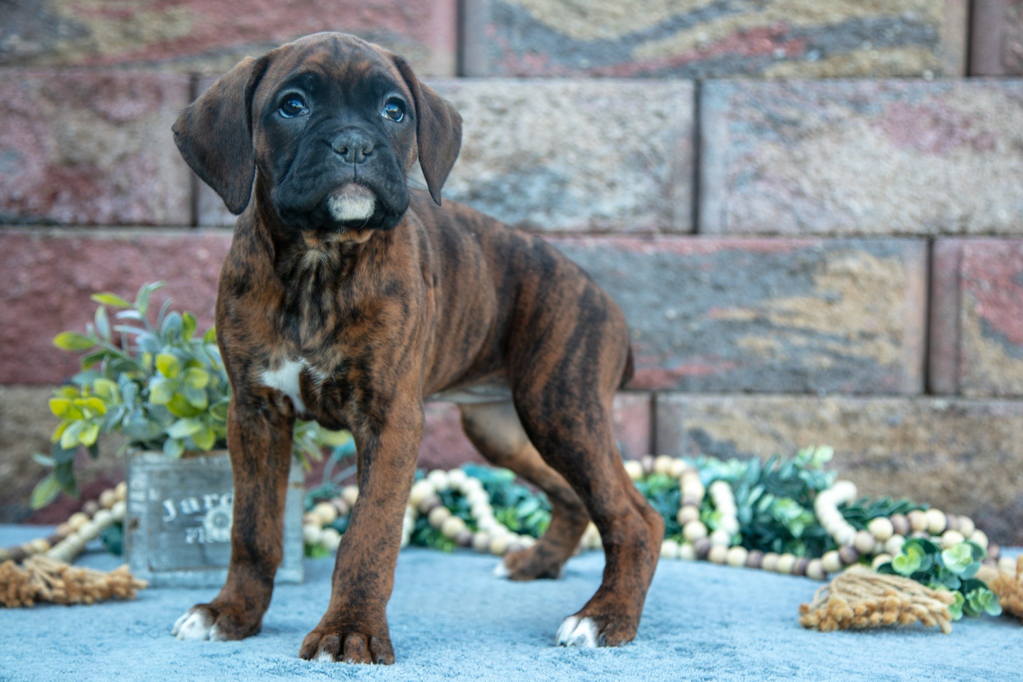 Rita - $1,500