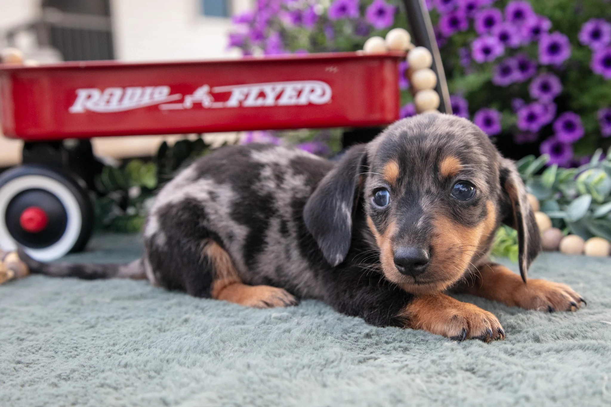 Charles - $1,700