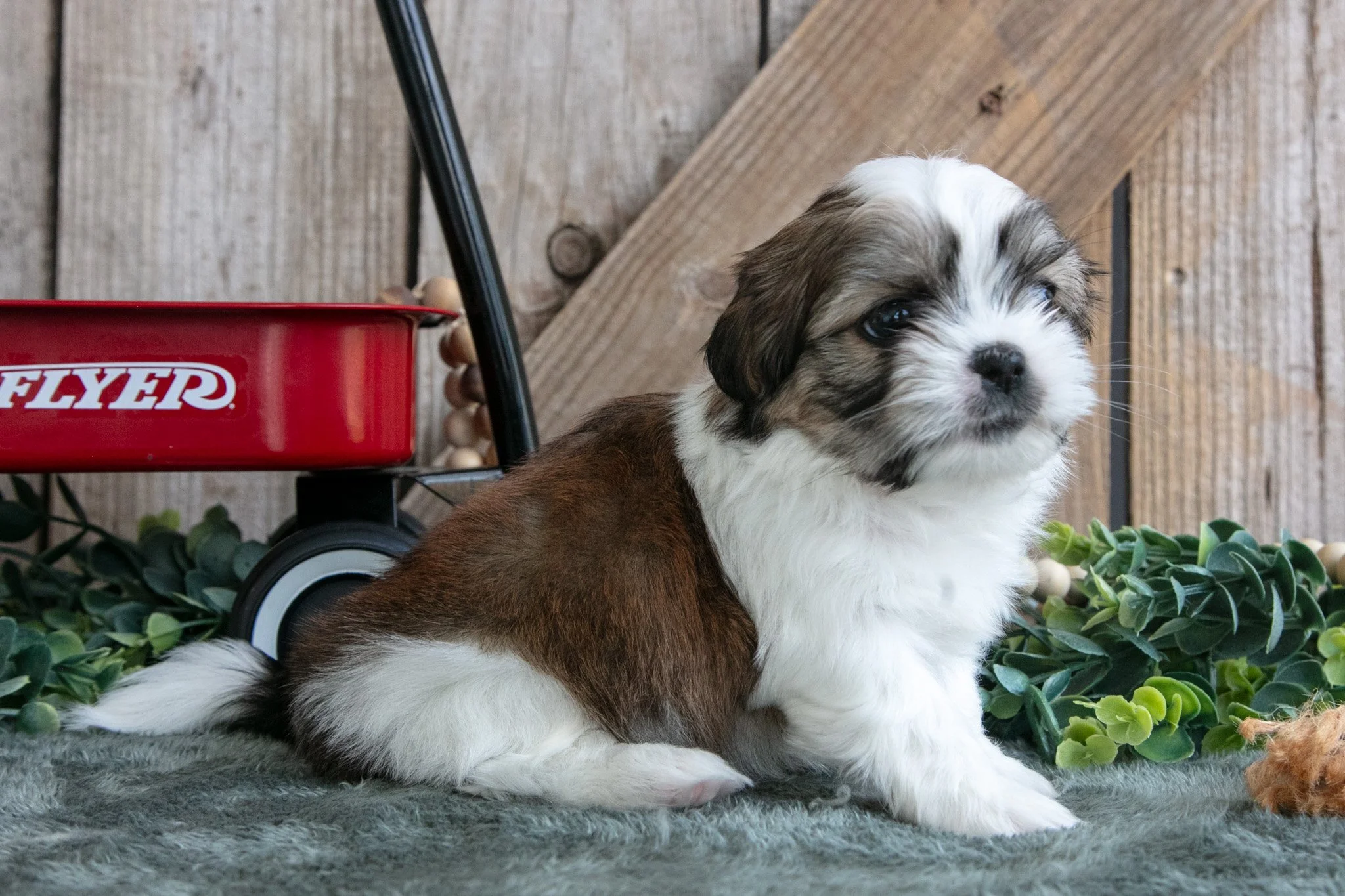 Jax - $600