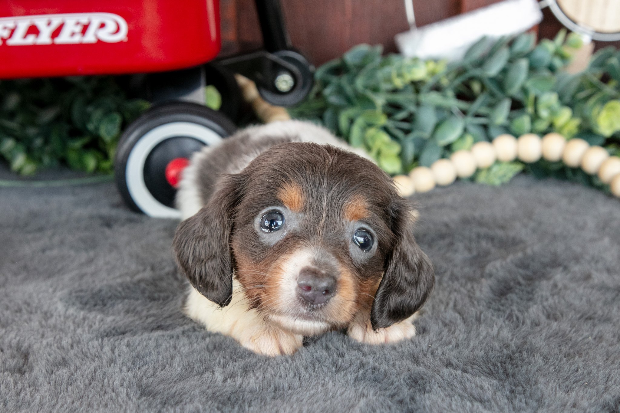 Betty - $1,300