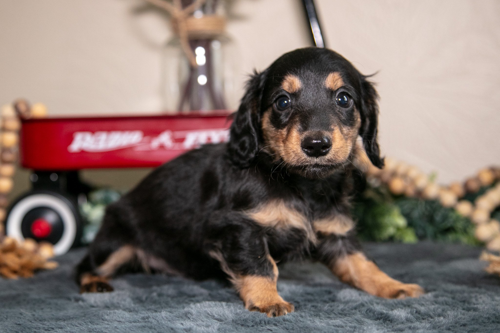 Emerson - $750