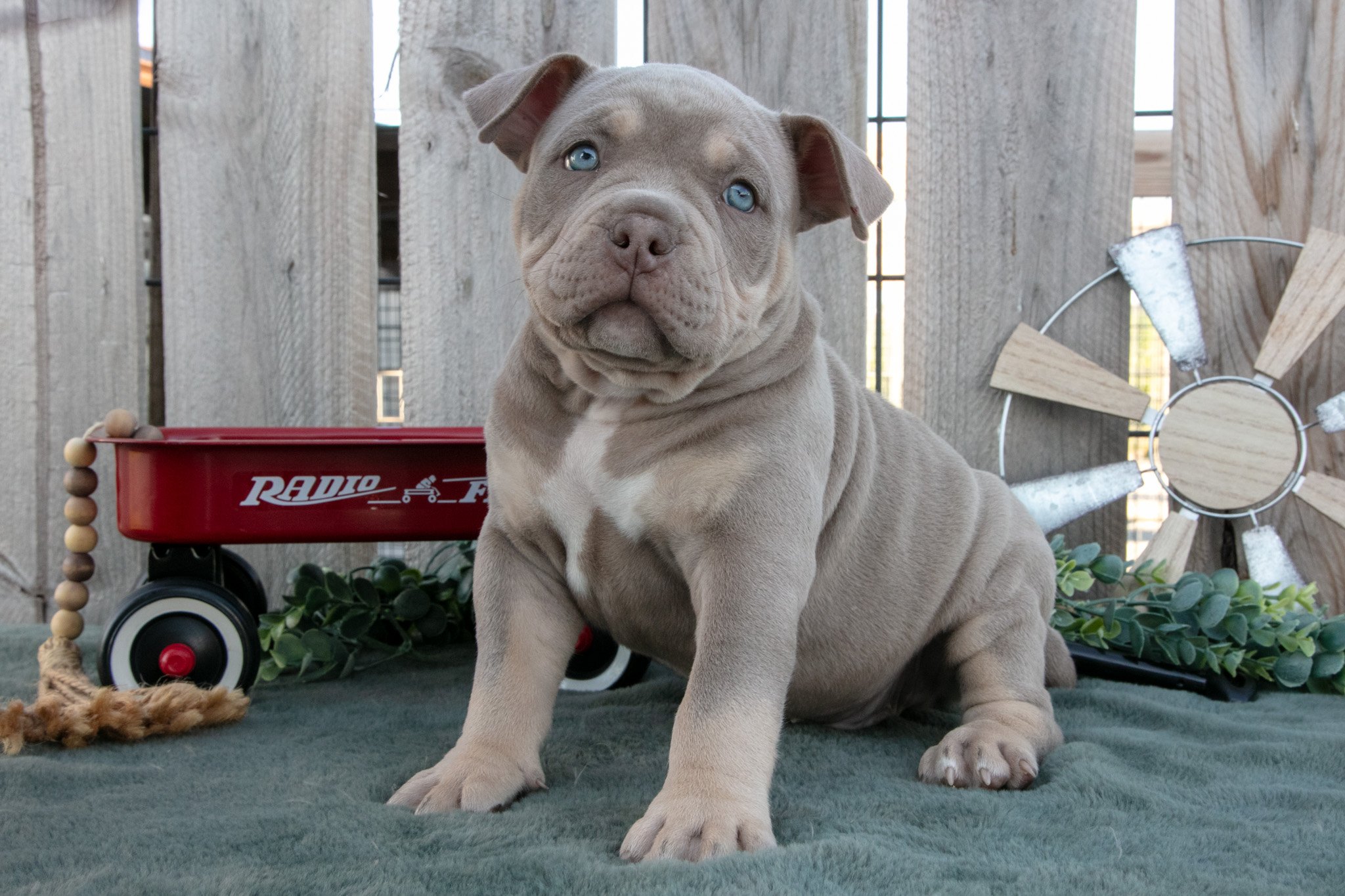 Max - $1,650