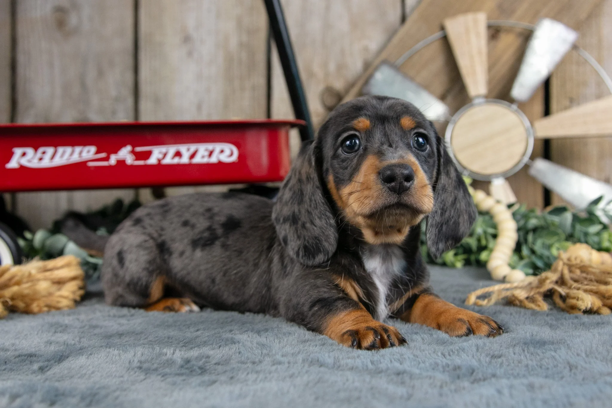 General - $1,700