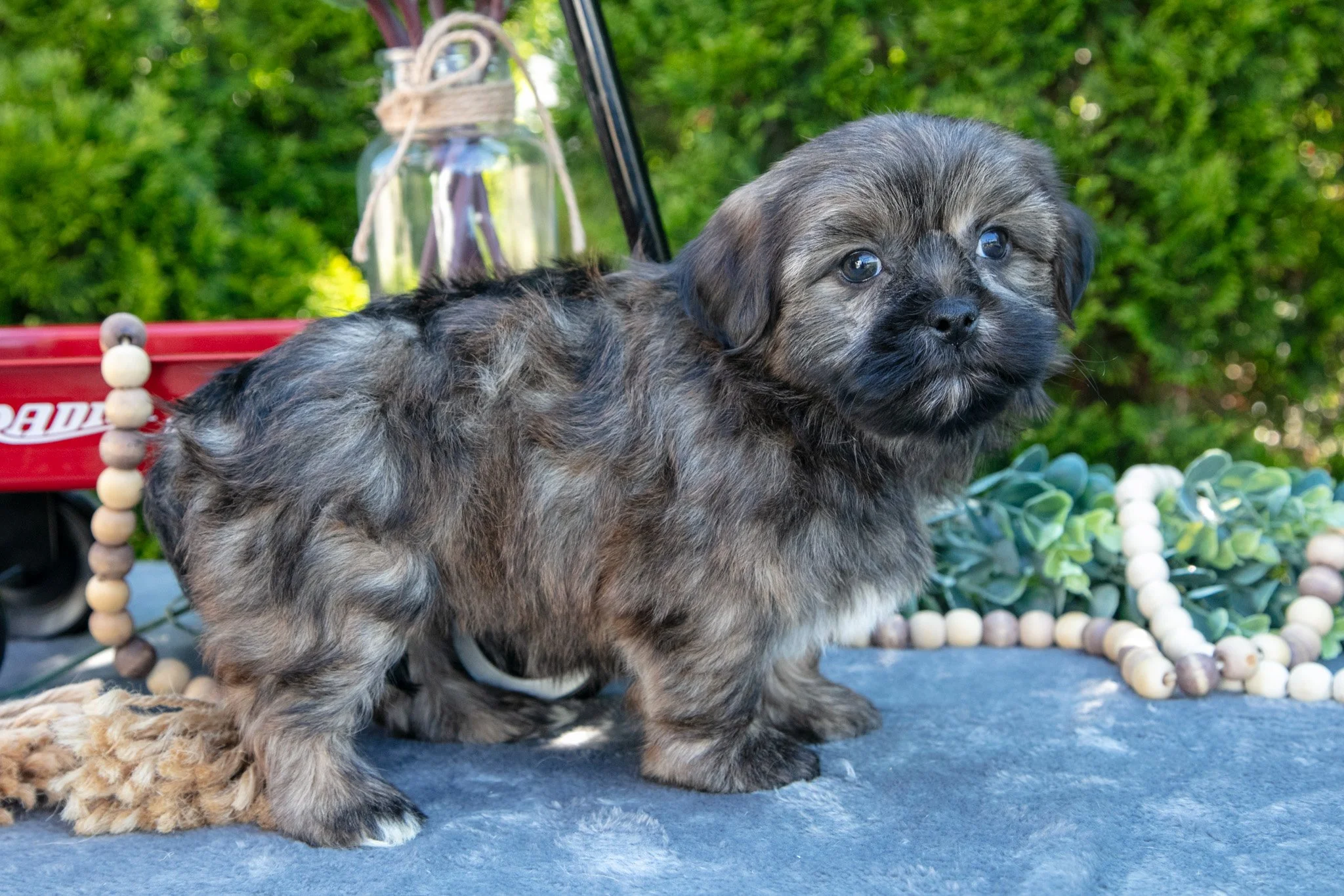 Burt - $450