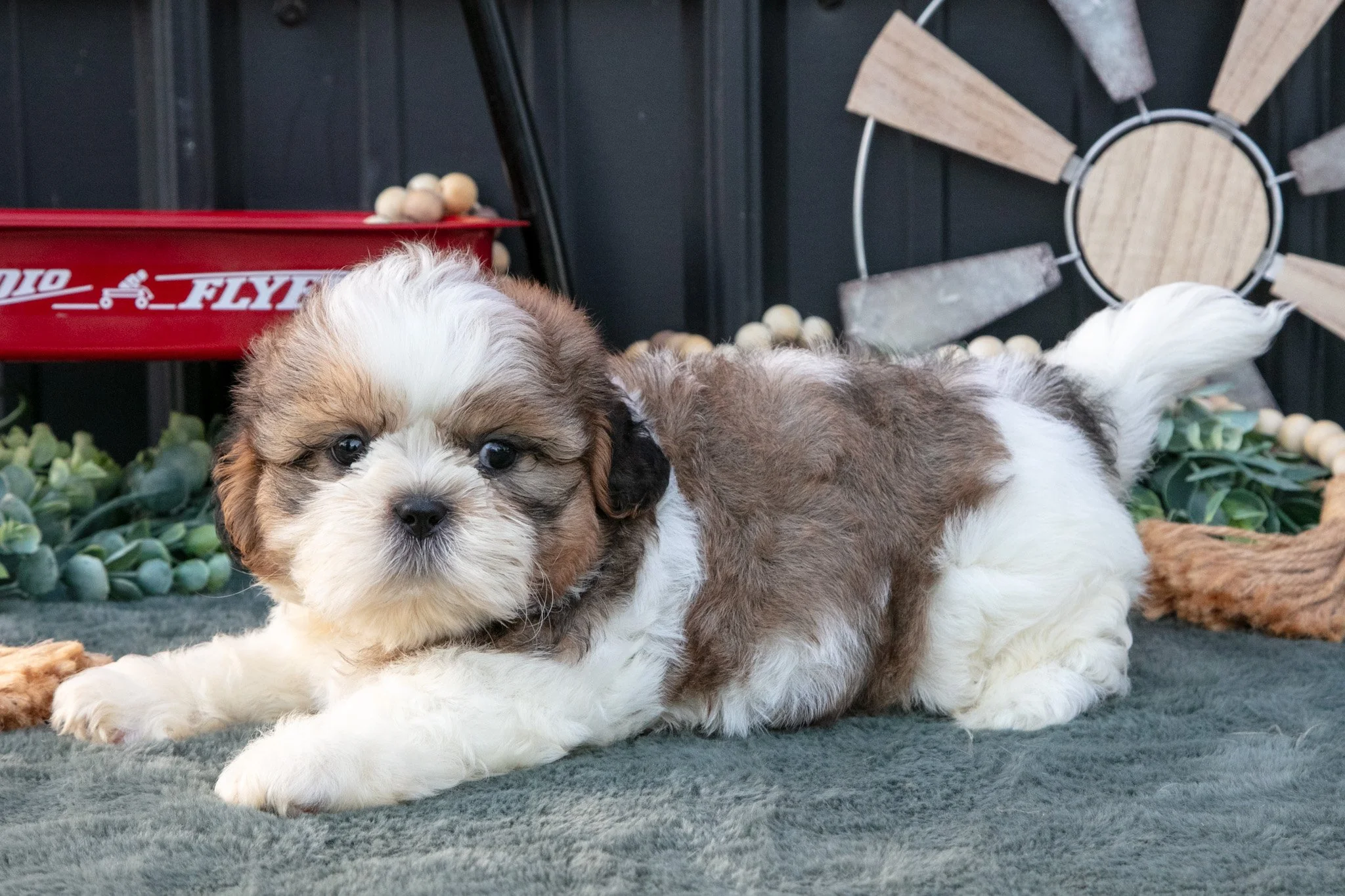 Conley - $800
