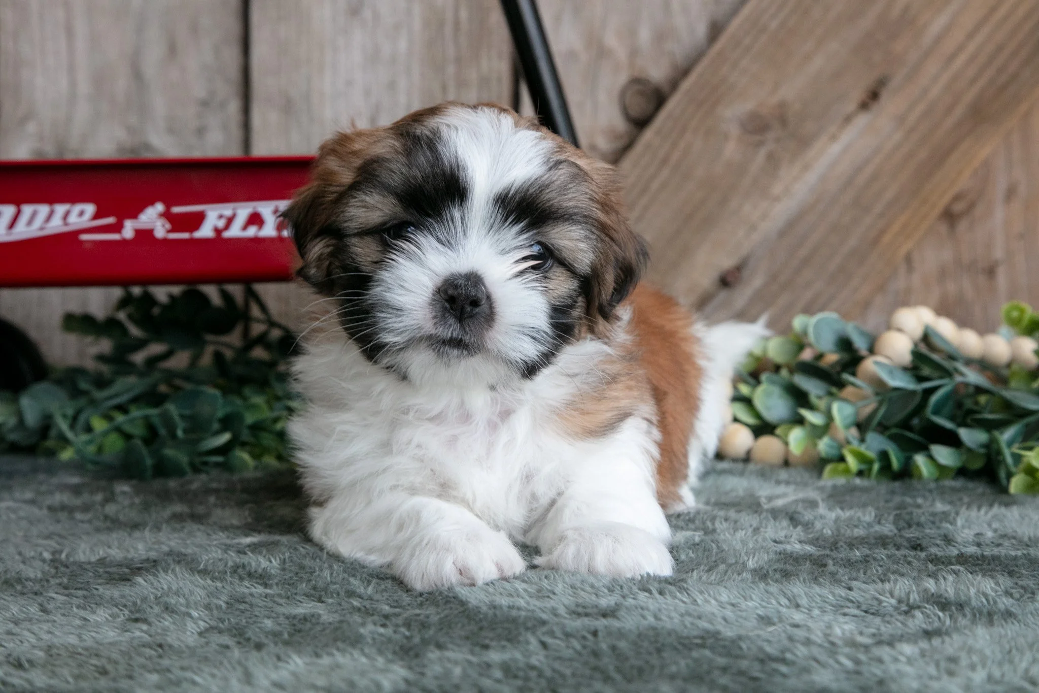 Jefferson - $600