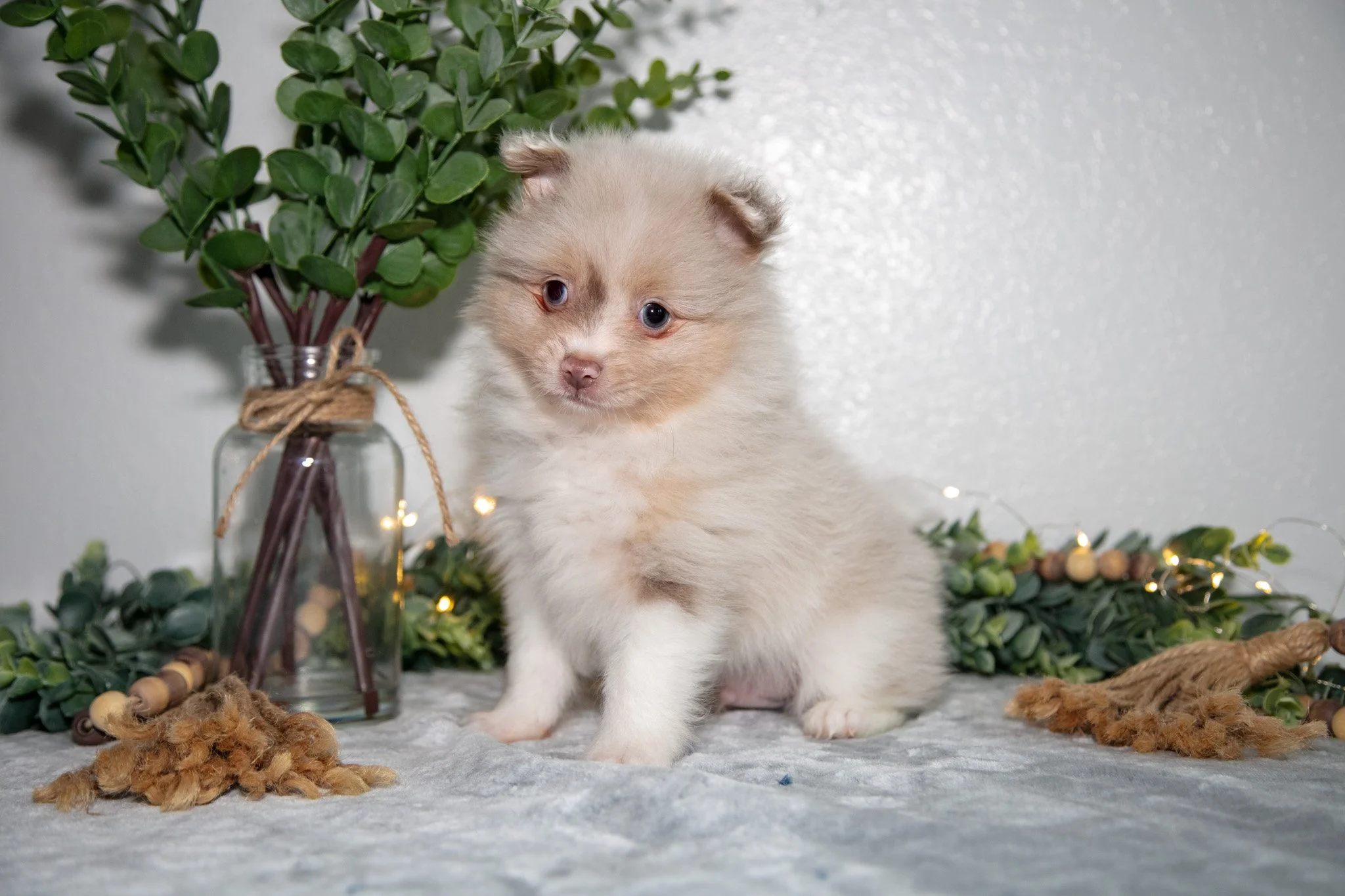Ike - $1,295