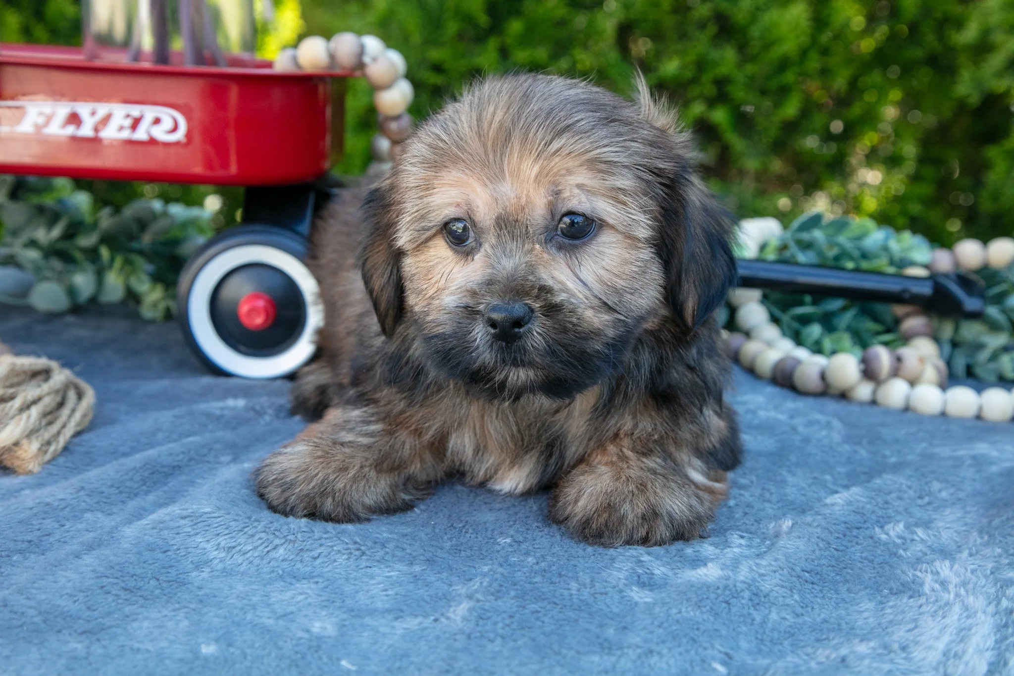 Blink - $450