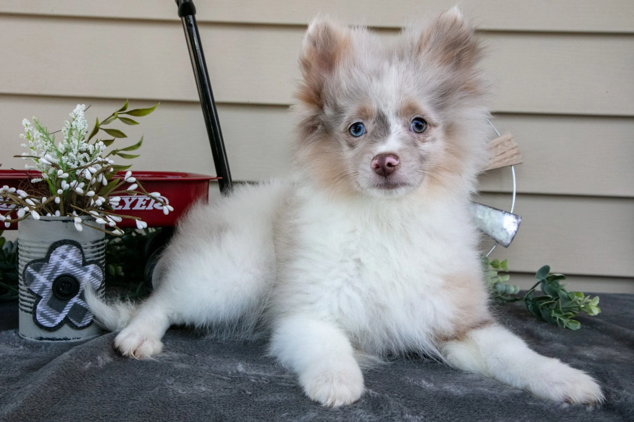 Ike - $500