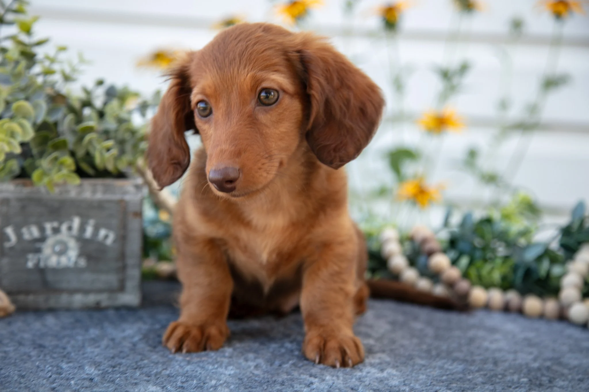 Max - $1050