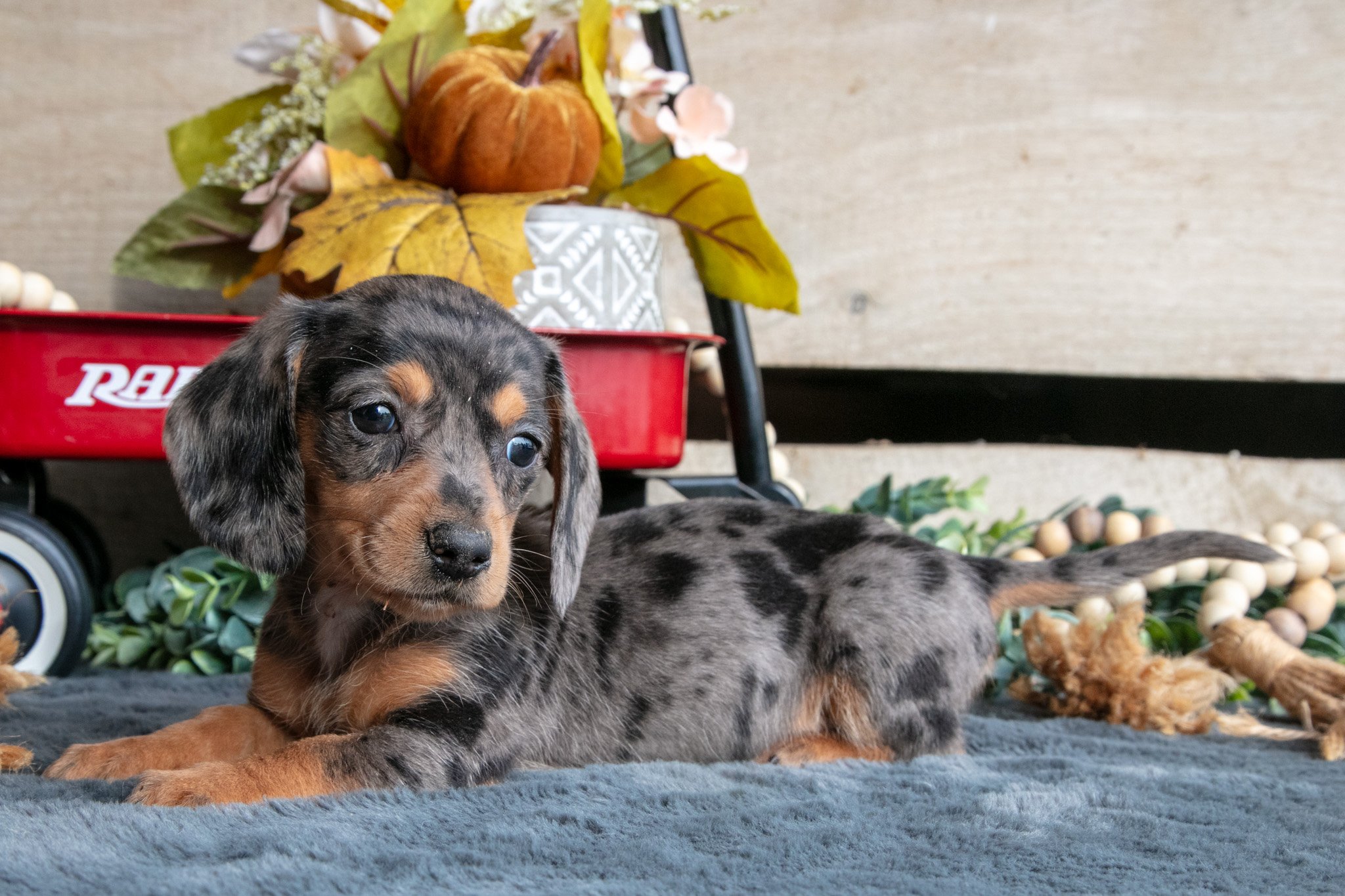 Betty - $1,750