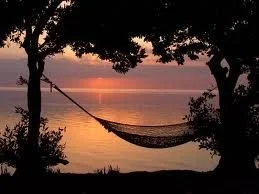 Sustainable Excellence (And Why Rest Isn't Optional)