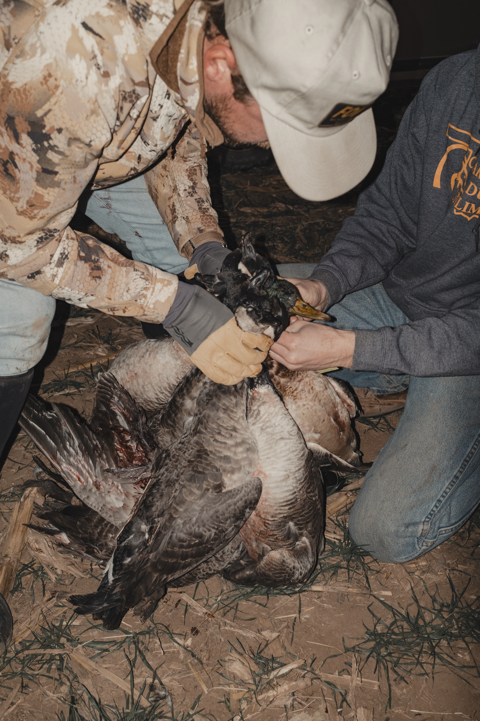 Screenshot 2025-12-30 at 11.42.48 AM.png