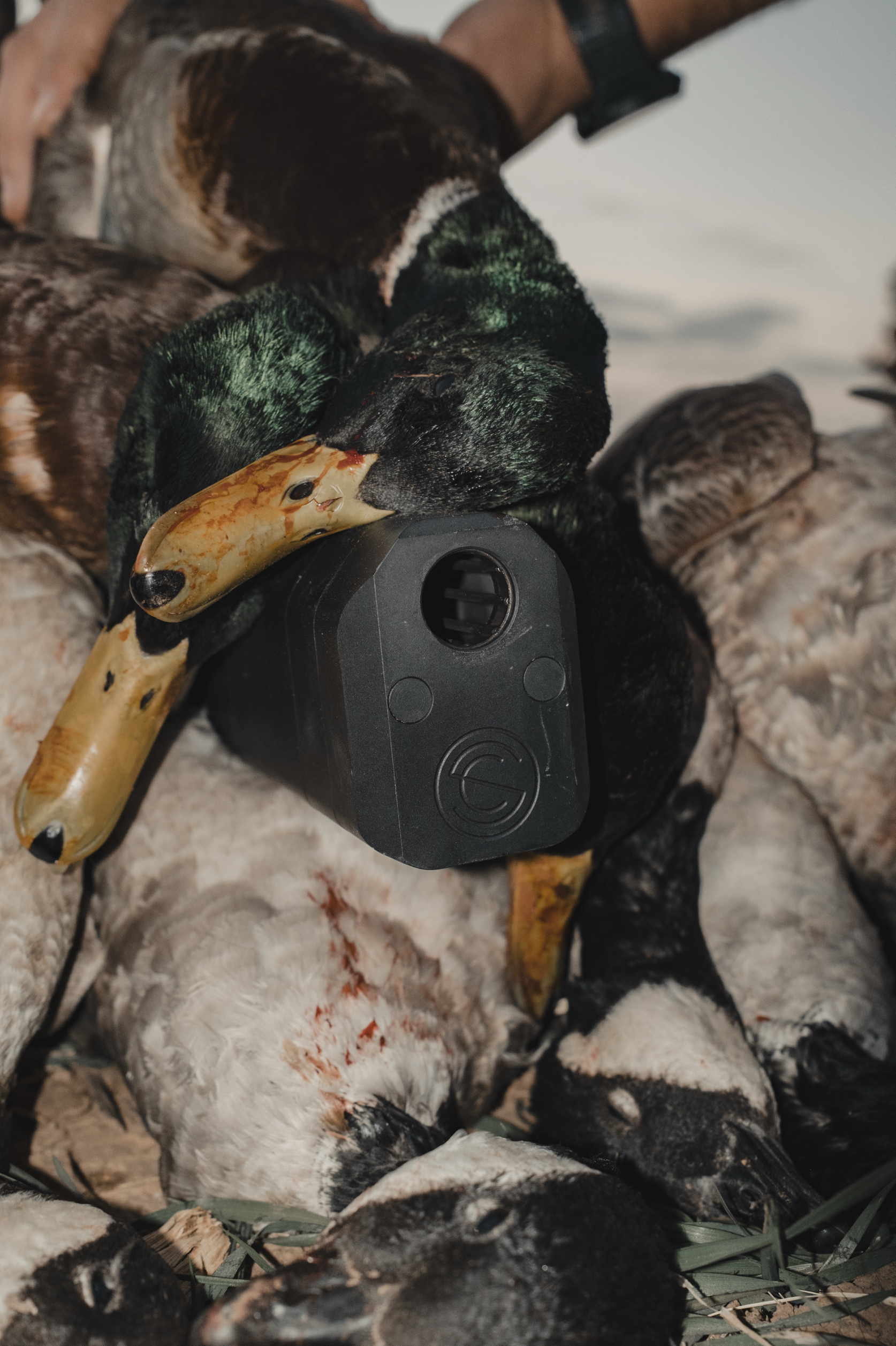 Screenshot 2025-12-30 at 11.42.06 AM.png