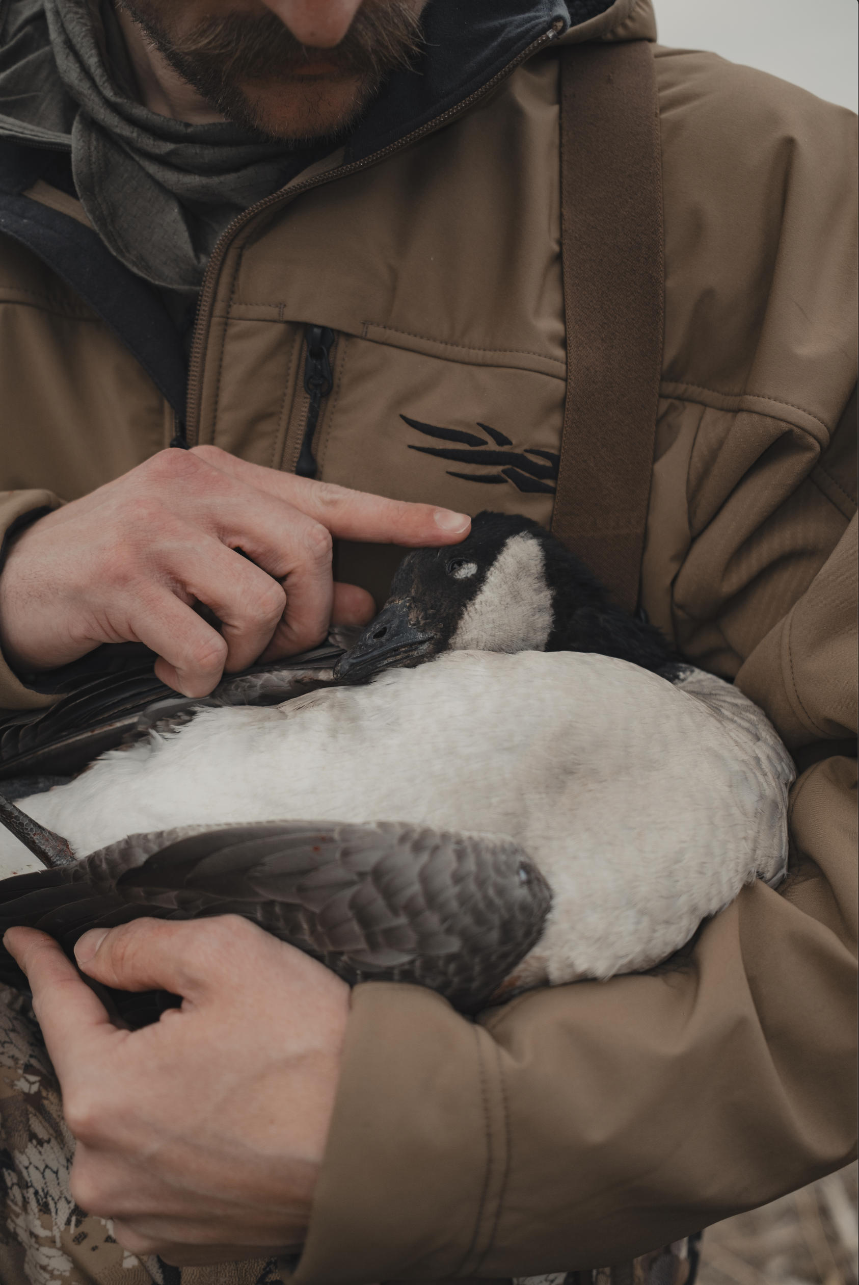 Screenshot 2025-12-30 at 11.41.14 AM.png