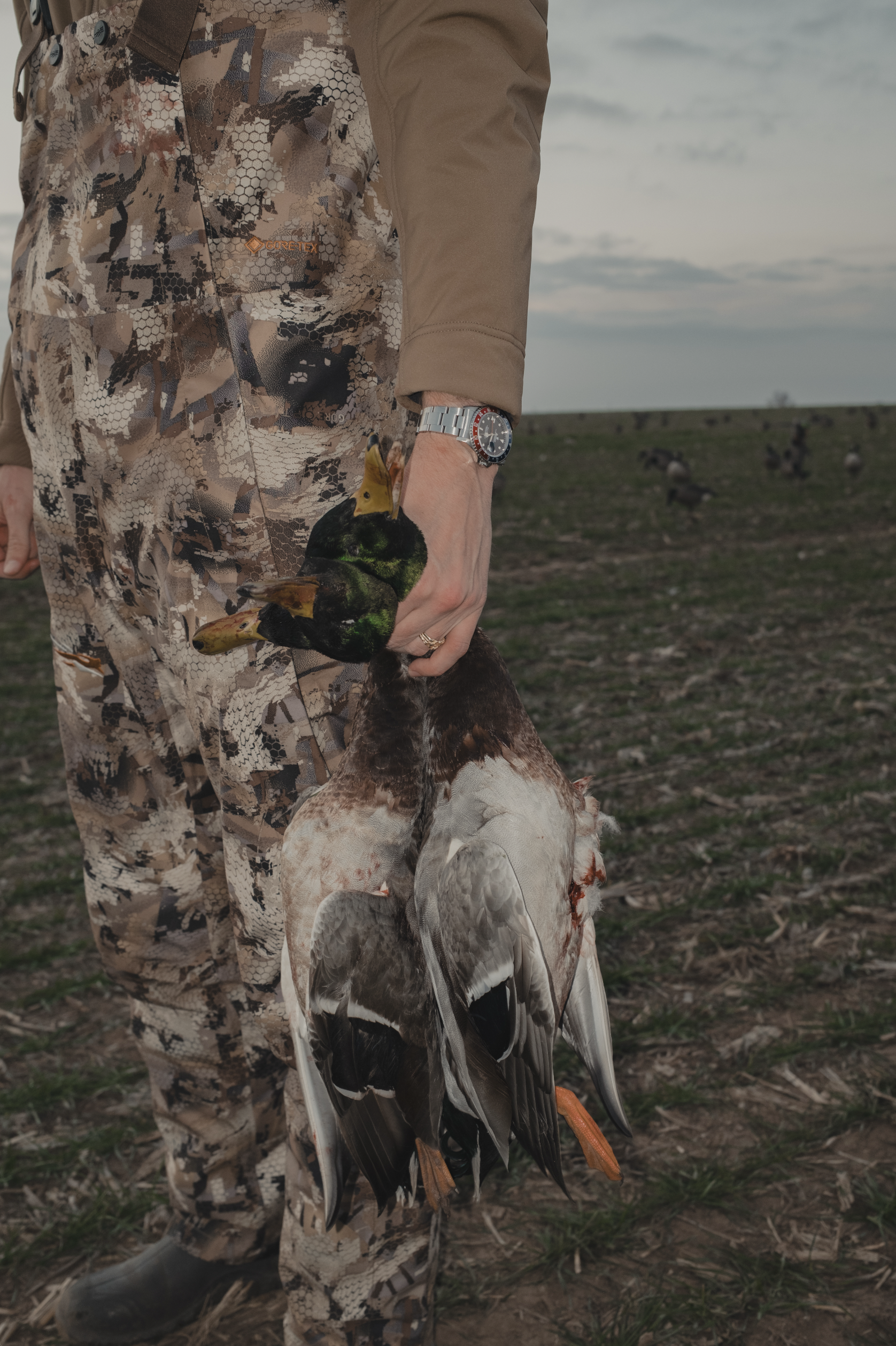 Screenshot 2025-12-30 at 11.41.56 AM.png