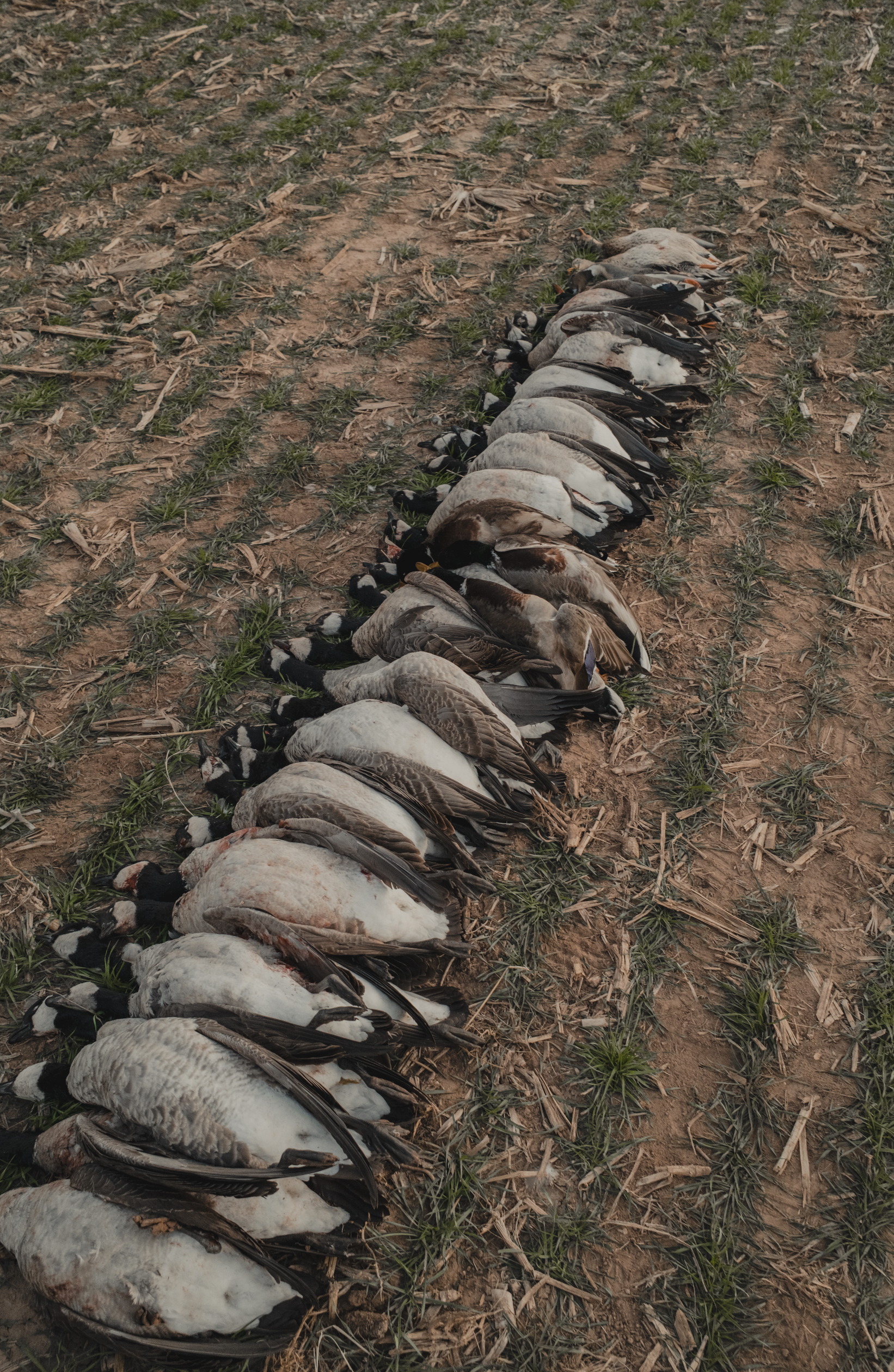 Screenshot 2025-12-30 at 11.42.18 AM.png