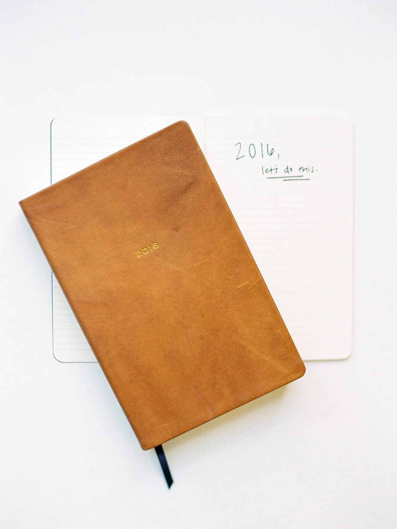 Happy New Year! January & 2016 Goals