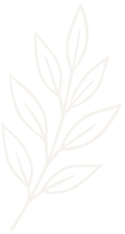 Line drawing of a branch with multiple leaves.