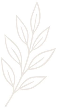 Line drawing of a branch with multiple leaves.