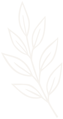 Line drawing of a branch with multiple leaves.