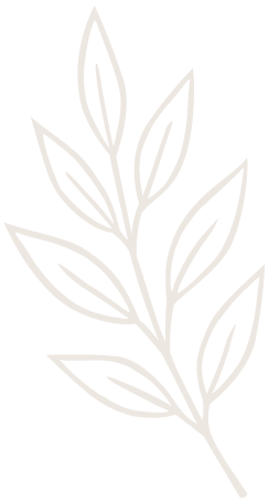 Line drawing of a branch with multiple leaves.