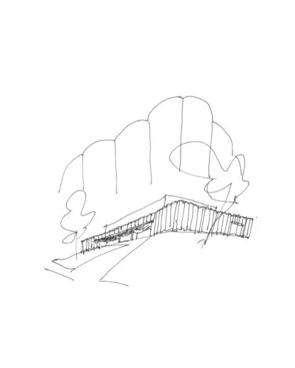 Blainville-sketch.jpg