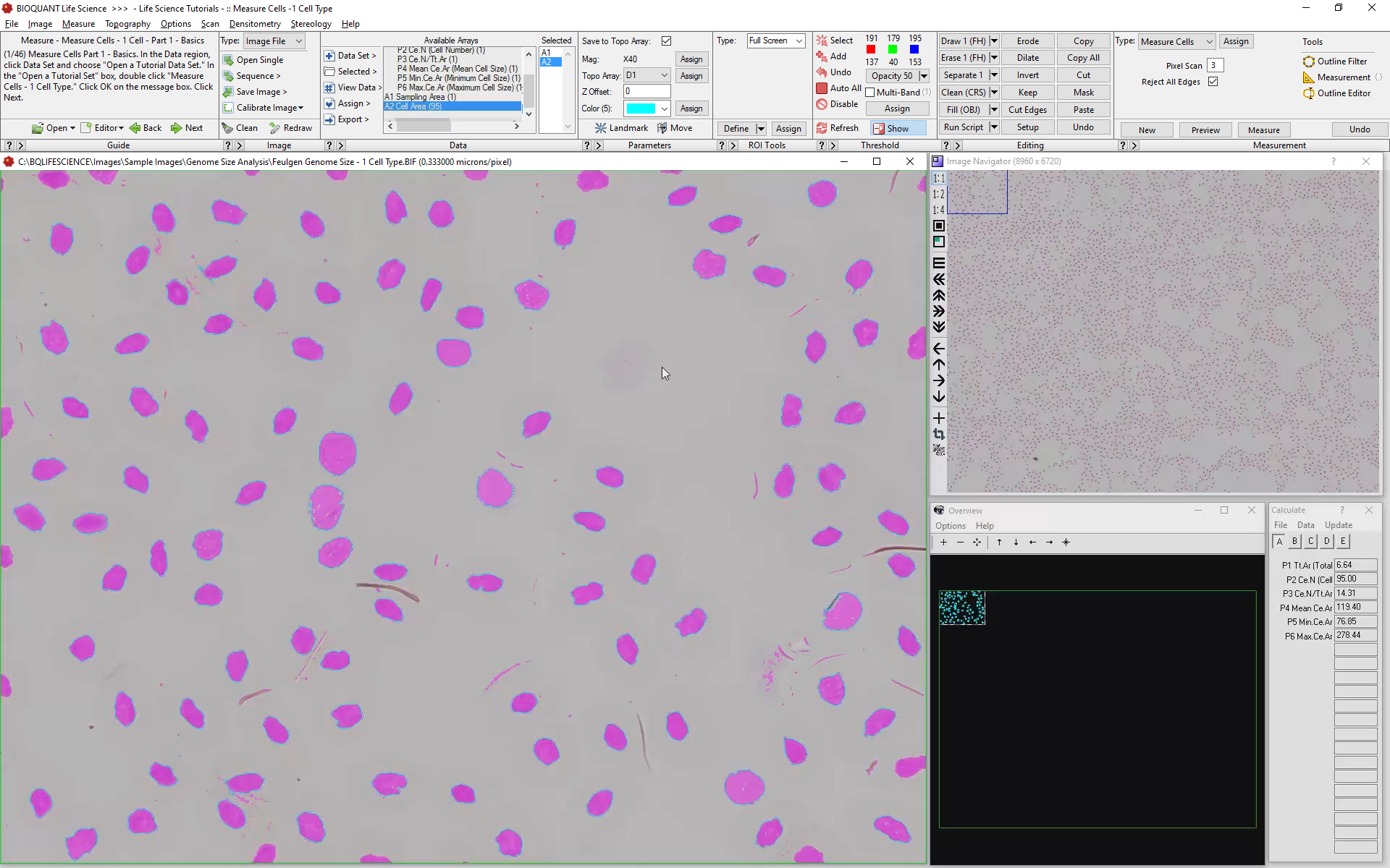 Cell_Counting-Measured.png