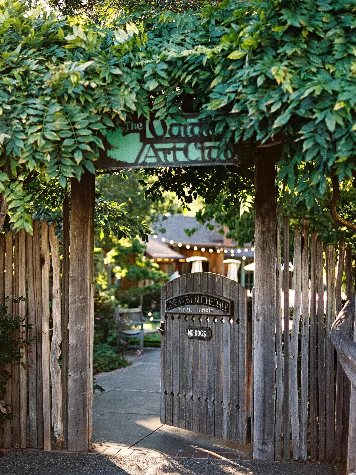 Reasons we love the Outdoor Art Club:

1. It feels like you and your guests are entering an enchanted world no one else can reach. 
2. The Arts and Crafts architecture of the Club House reads very Bay Area and the flow from one space to the next, eas