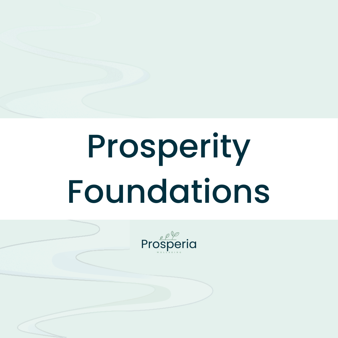 Prosperity Foundations Bundle