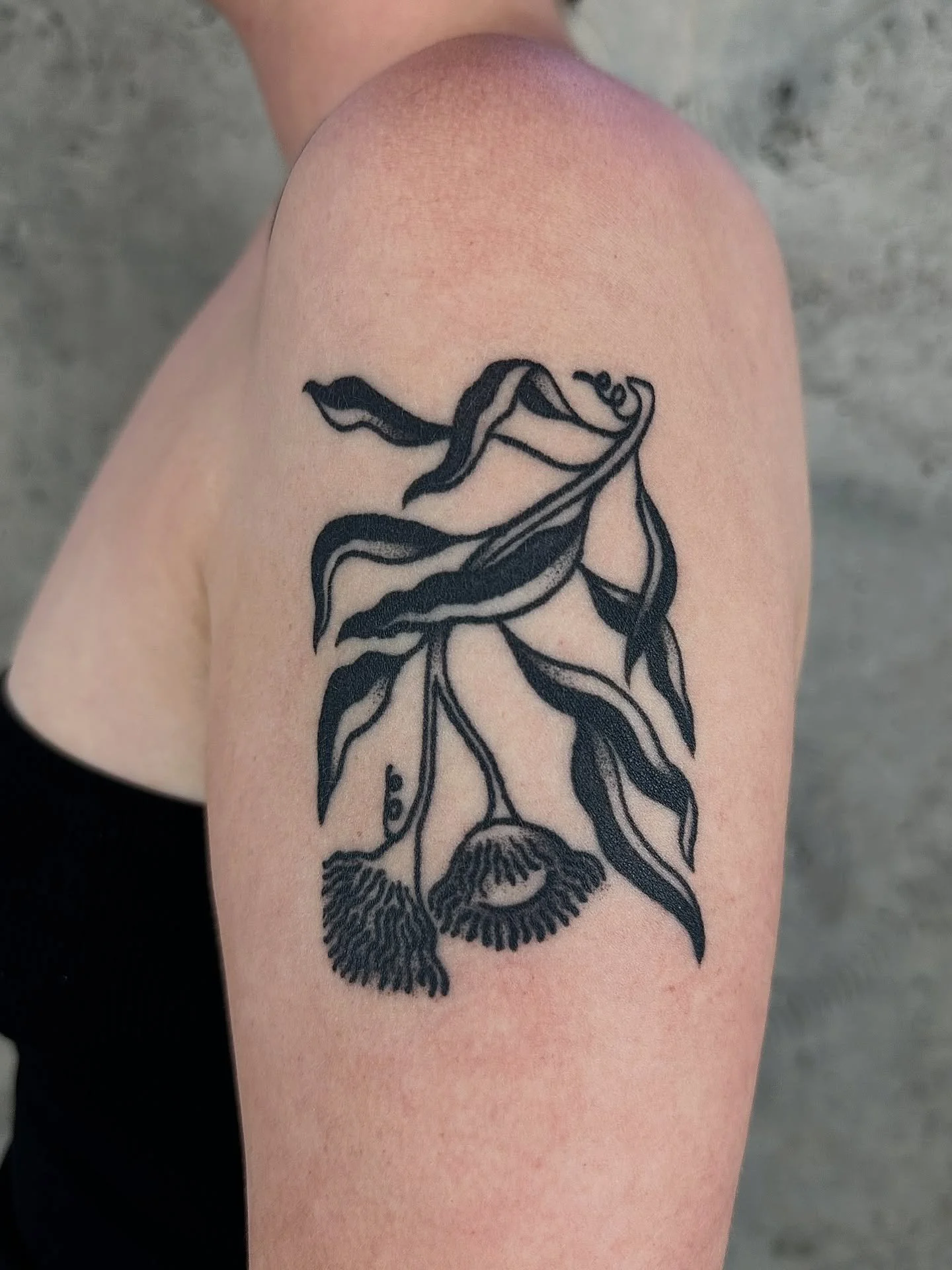 Healed plant on my customer Lucy 🌿