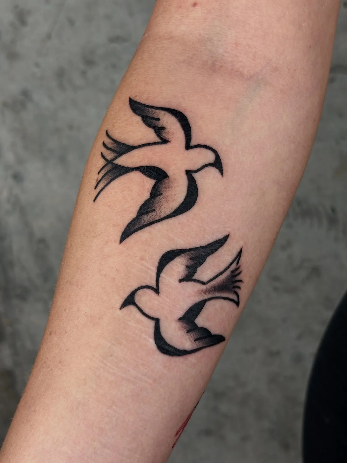 Birds of a feather flock together