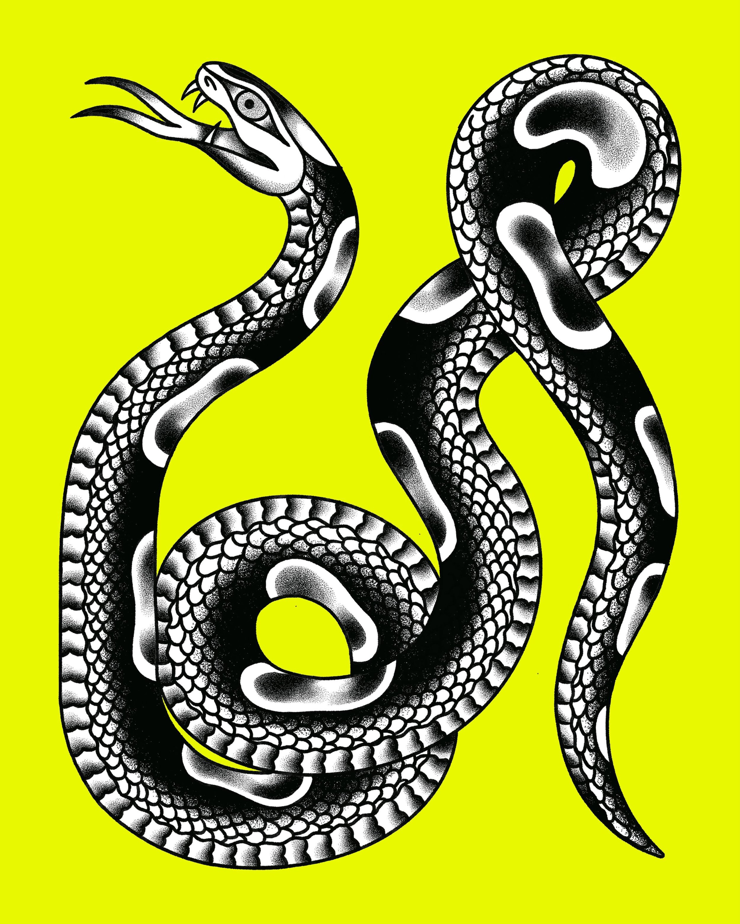 Snake in a box - who would get this as a tattoo?