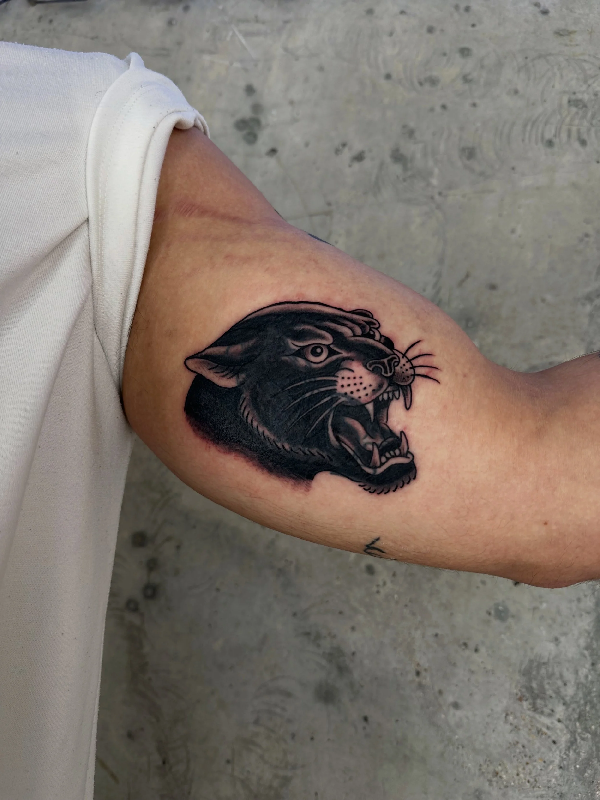 Panther cover up for Kaine