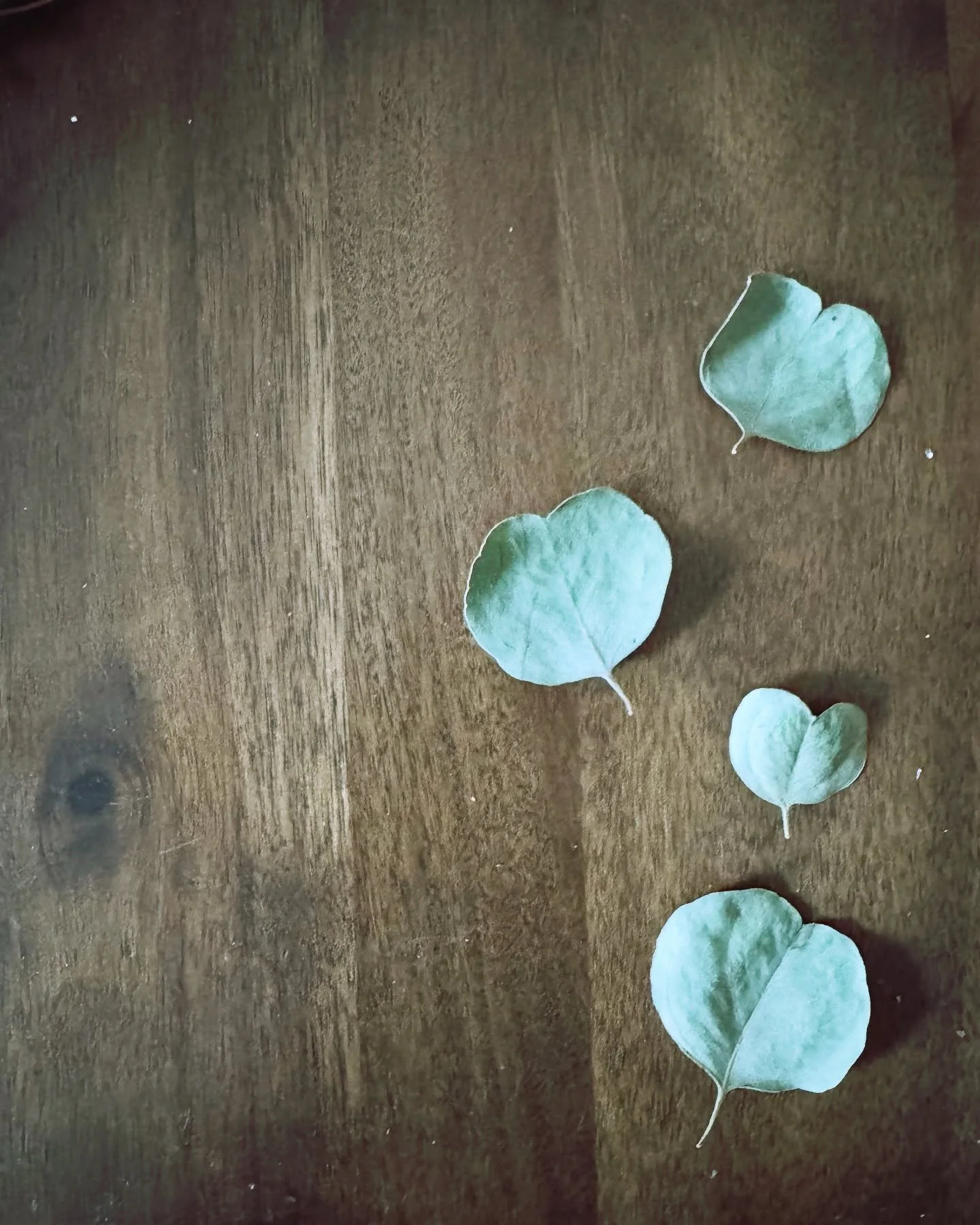 Happy Valentine&rsquo;s Day! ❤️ I hope your day is filled with love... If you know me, you know I have a love for heart shapes&mdash;I find them everywhere and create them as well❤️ Here&rsquo;s a mix of Valentine&rsquo;s hearts, including some recyc