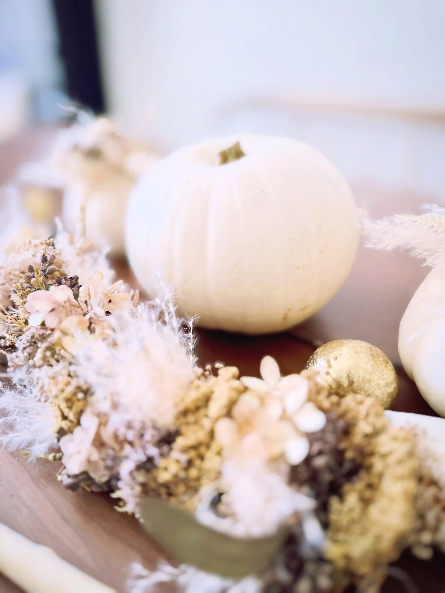 I&rsquo;m happy to announce that I&rsquo;ll be hosting a Fall Pumpkin Arrangement Workshop! I can&rsquo;t wait to share my love for pumpkins and have fun creating with you all again!

Save the date:
📅 Sunday, October 26th
🕑 2:00&ndash;4:00 pm
📍 Je