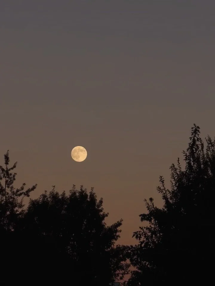 Did you see the supermoon?! 🌕 I actually recorded the first and second clips the day before the full moon &mdash; I wasn&rsquo;t sure if I could capture it on the day of, since it&rsquo;s not always easy to see the full moon (and it was cloudy at fi