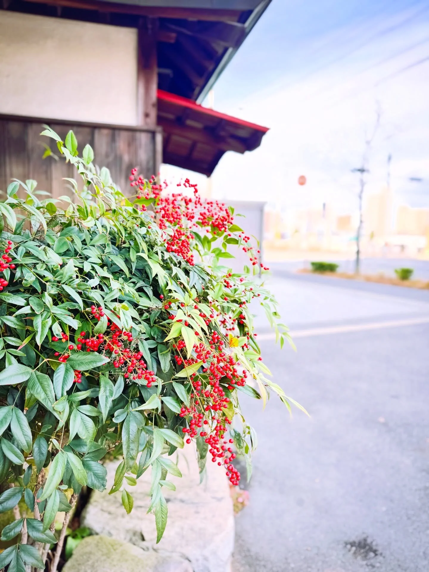 I don&rsquo;t often return to Japan in winter, so everything felt especially fresh&mdash;not just the New Year, but also the food and drinks (hot drinks from vending machines&hellip; the best🥹 only in Japan, right?). I loved noticing fruits like nan