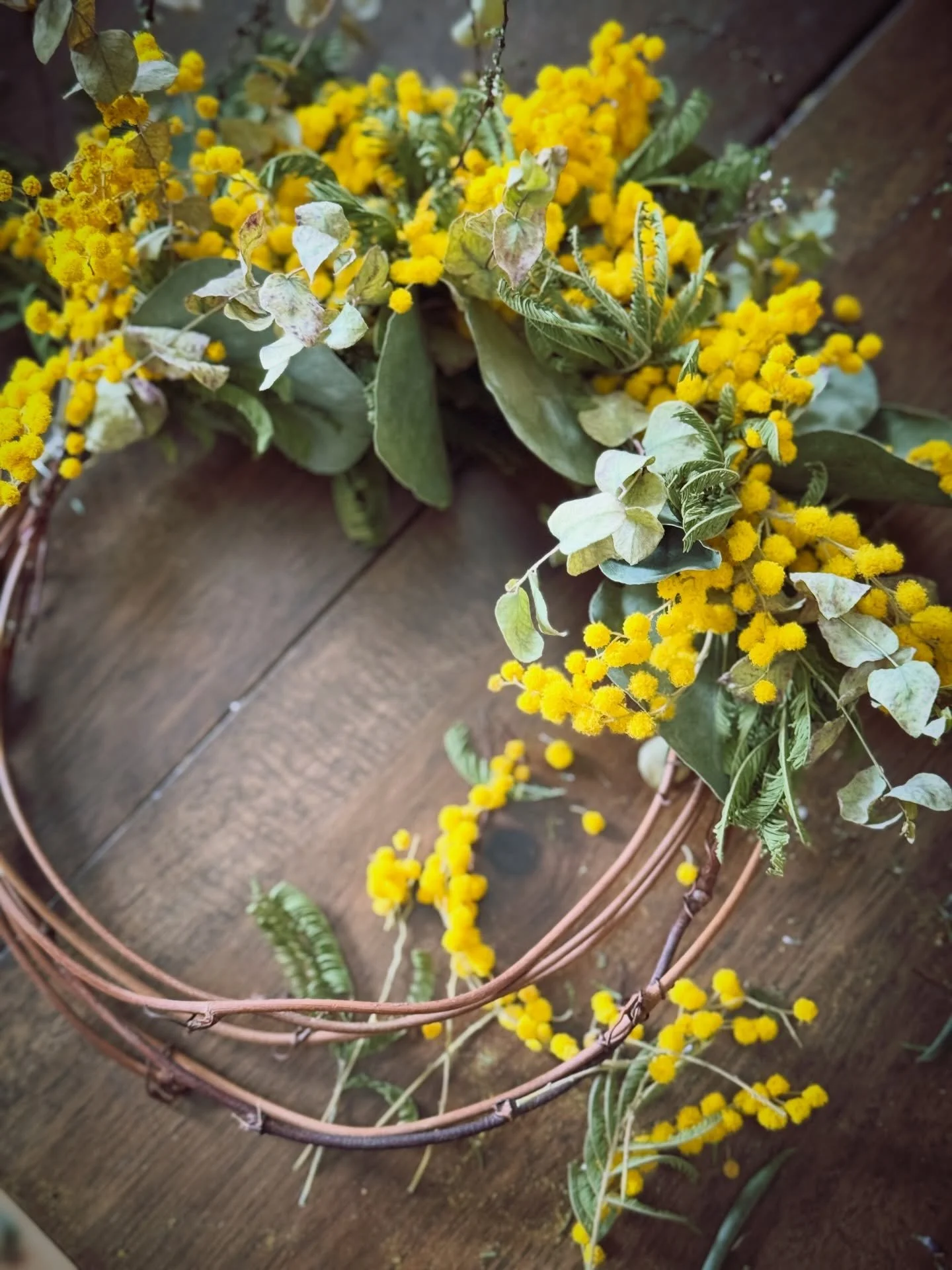 Happy International Women&rsquo;s Day 💛✨
Mimosa is the flower of the day, and I&rsquo;ve been working with these little cuties all week.

So while this is still a work in progress, I wanted to share a few moments from the process &mdash; thinking, r