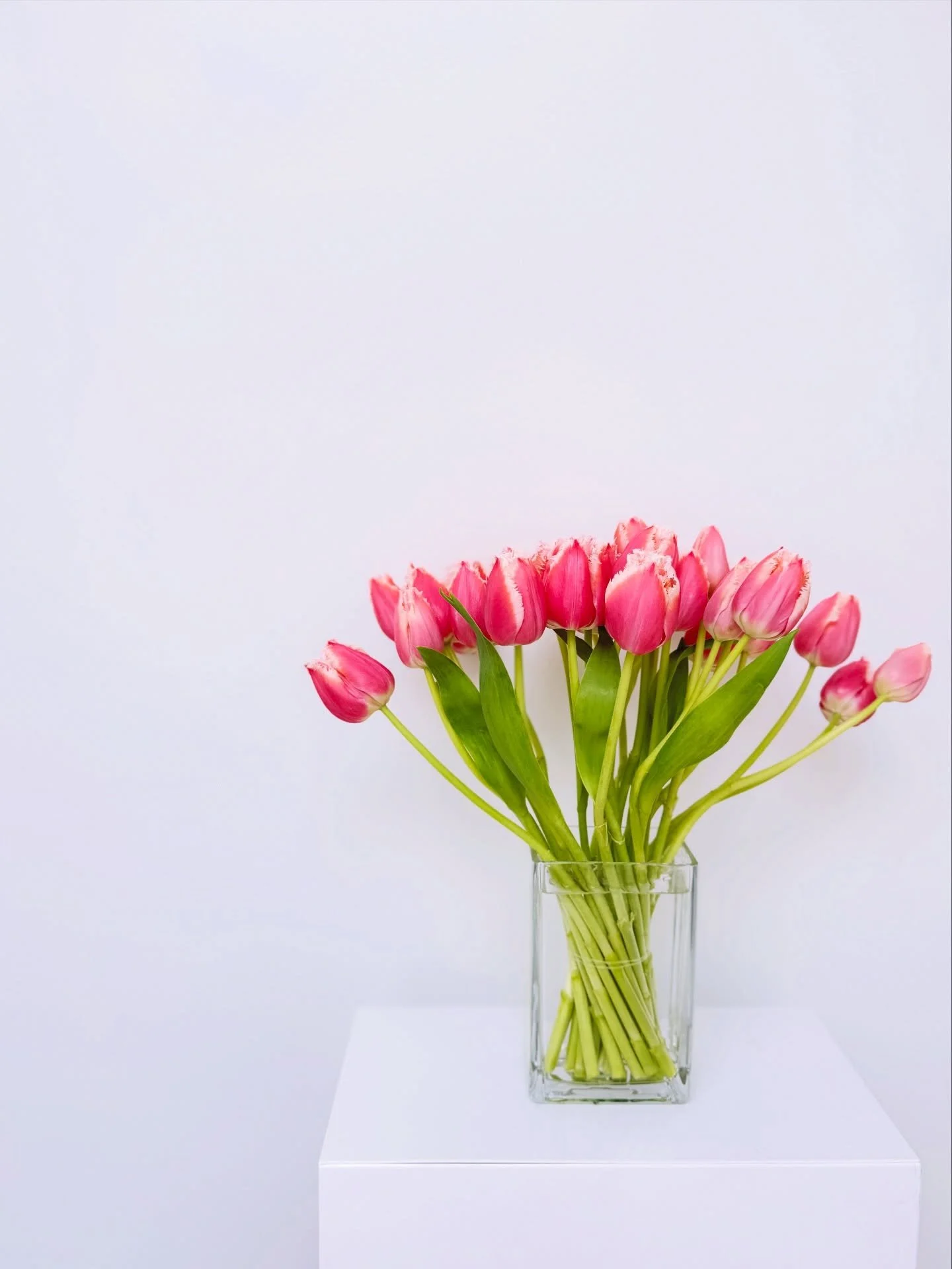 Tulip arrangement 🌷🌷🌷
I learned so much about tulips at the flower school @flowerschoolny ! They actually keep growing in the vase&mdash;if you scroll, you&rsquo;ll see how they started: smaller, greener, and gently curved downward&hellip; By the 