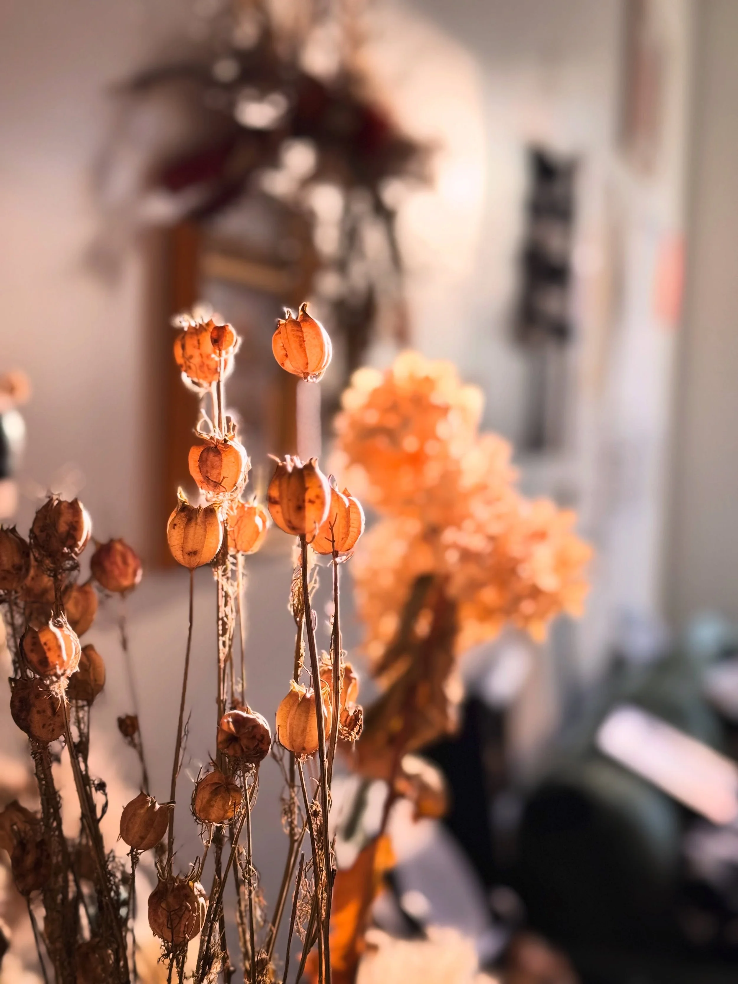 Since the new school year started, I&rsquo;ve been waking up earlier as my high schooler heads out the door early. It&rsquo;s been an adjustment for both of us, but I&rsquo;ve been enjoying the morning light after I send her off &mdash; a little mome