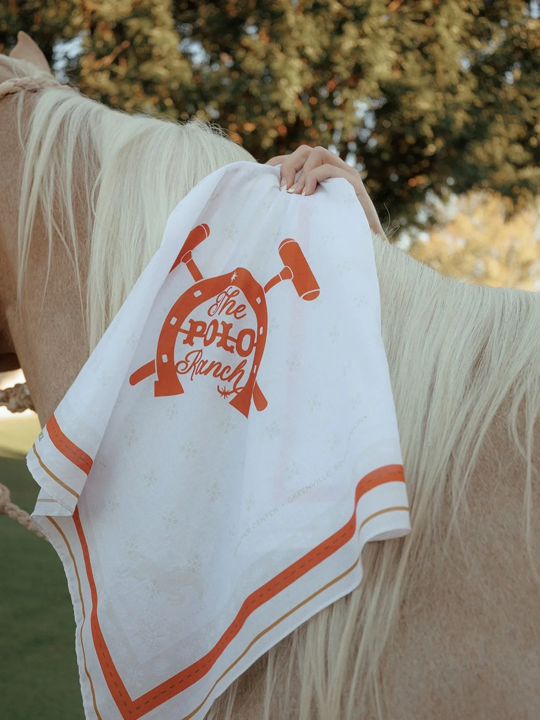 Two days until The Polo Ranch! 🐎🤎

This Sunday, we&rsquo;re bringing the Upstate together for an unforgettable day of style, spirited competition, and good company, all in support of the children and families of the Meyer Center.

We&rsquo;re count