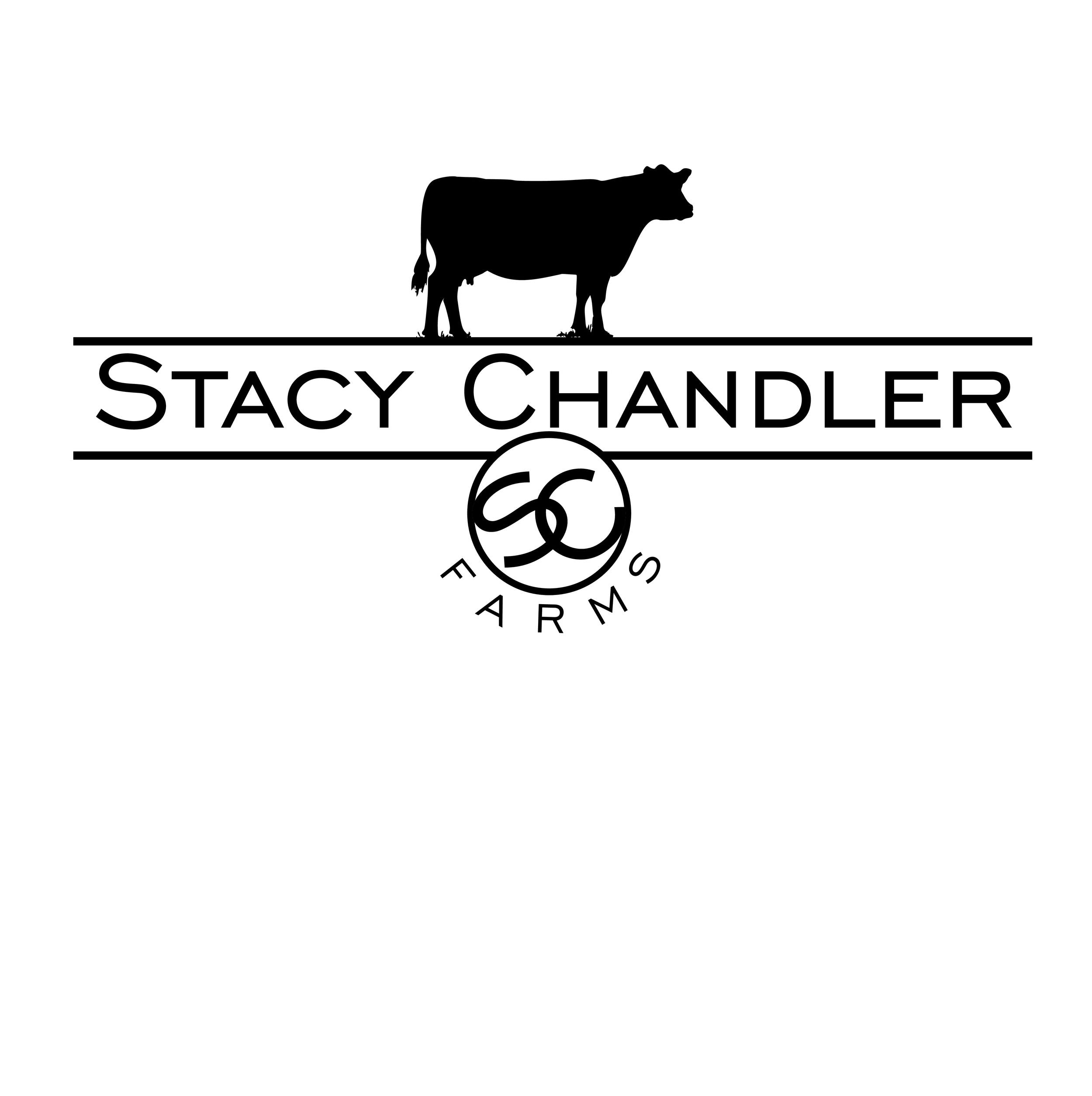 stacy_chandler_logo_02.png