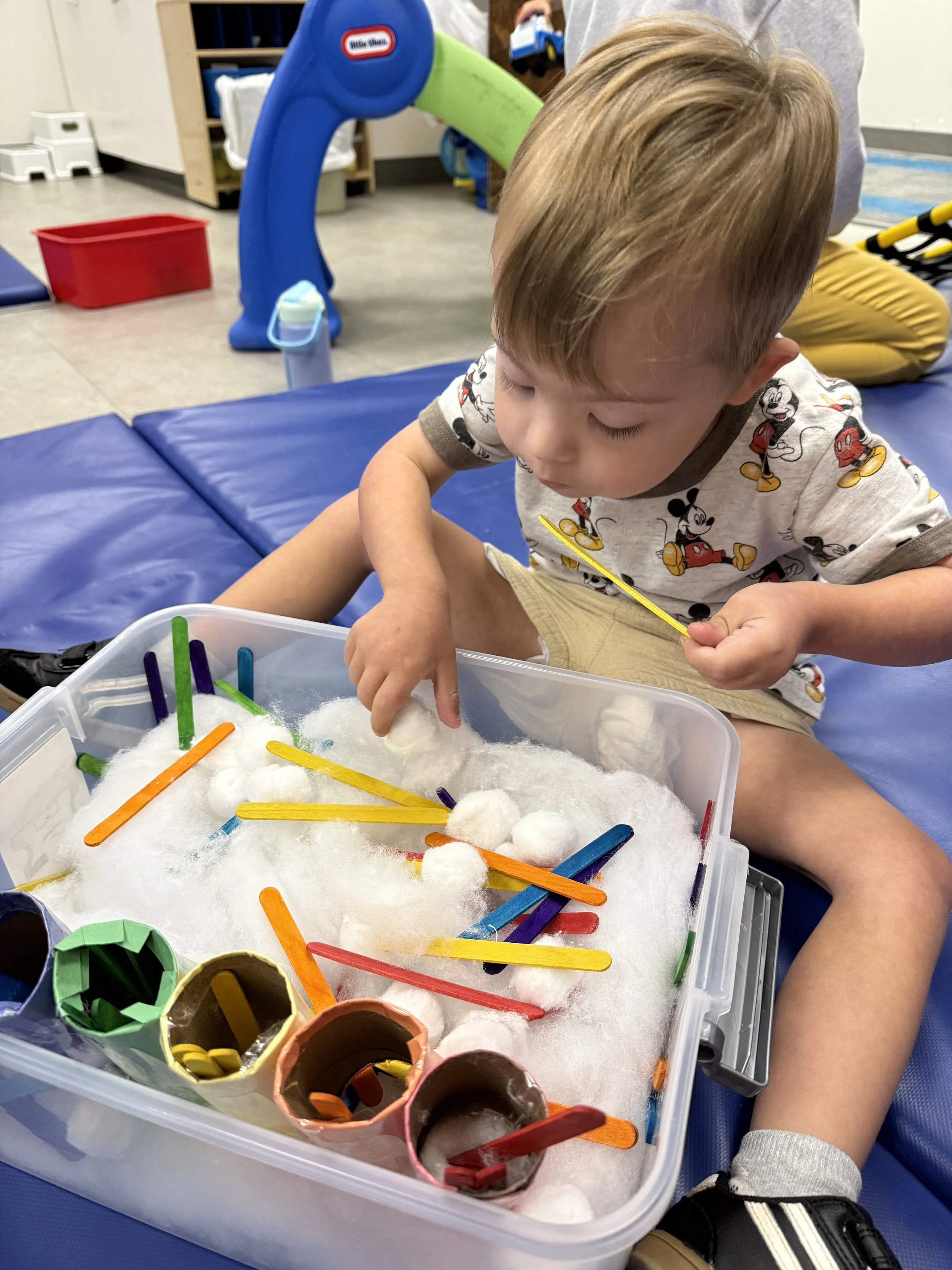 Image - 2026-02-17T075336.561.jpg