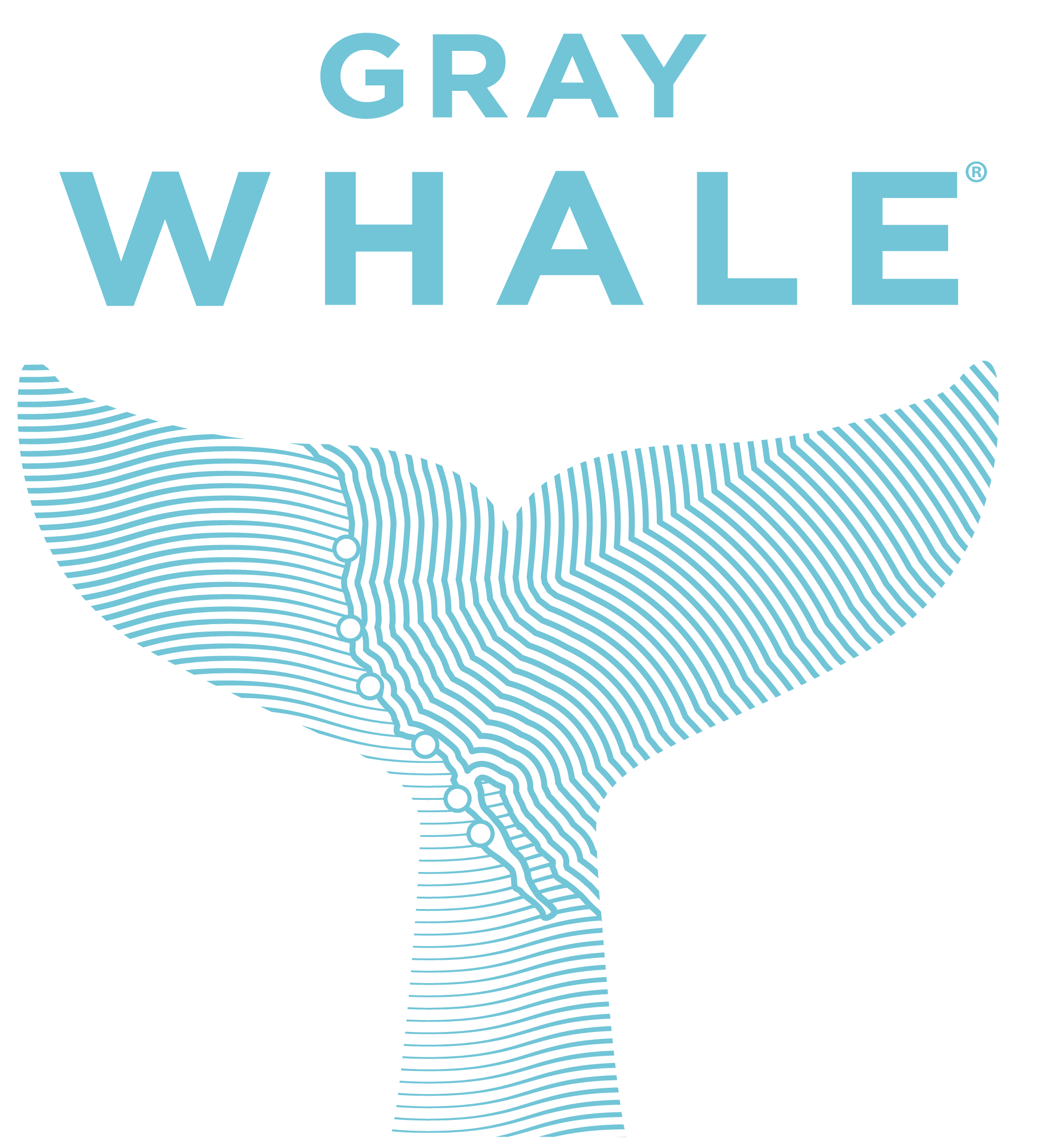 Gray Whale Logo. Blue.png