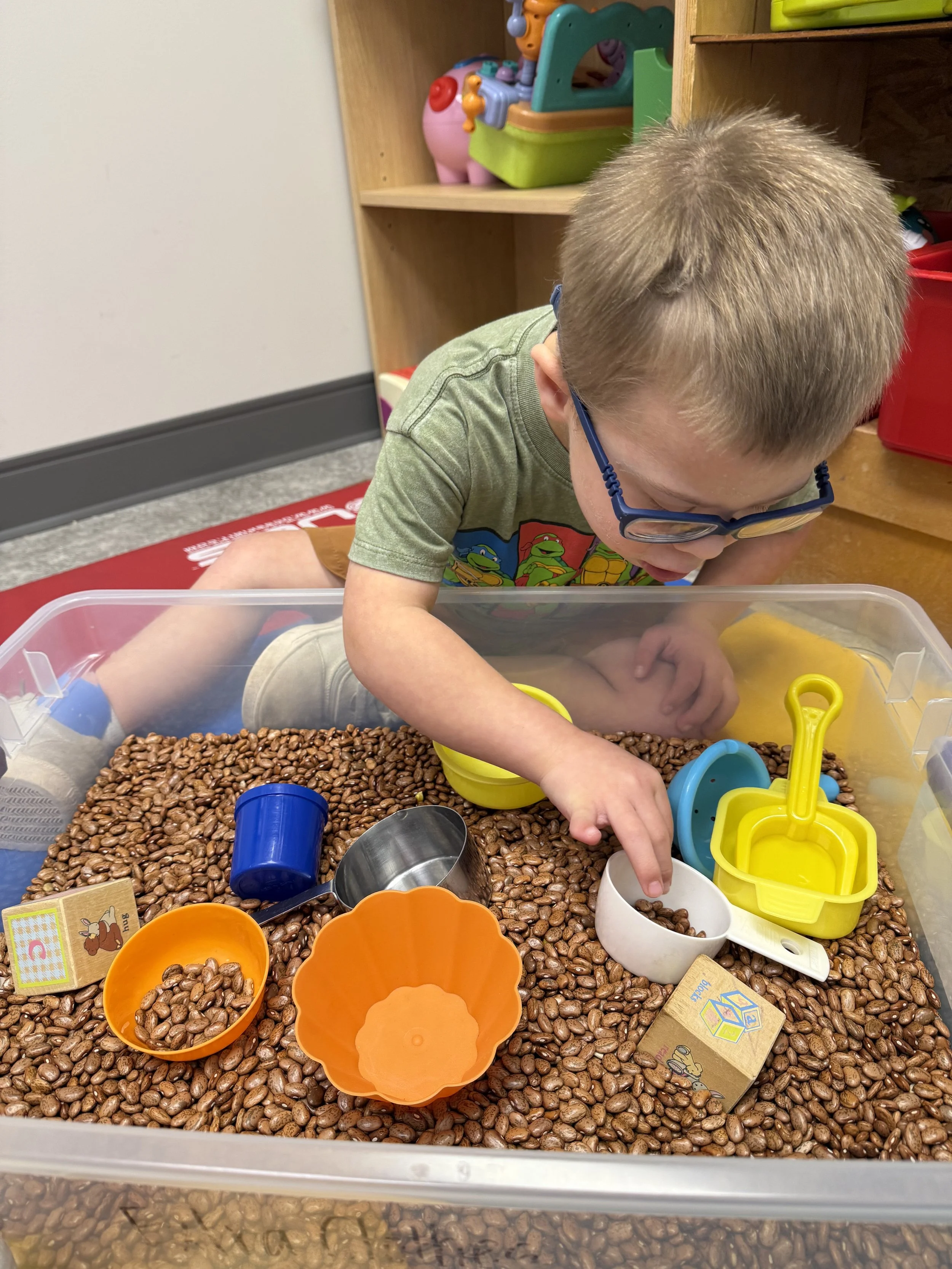 Image - 2026-02-17T075341.466.jpg