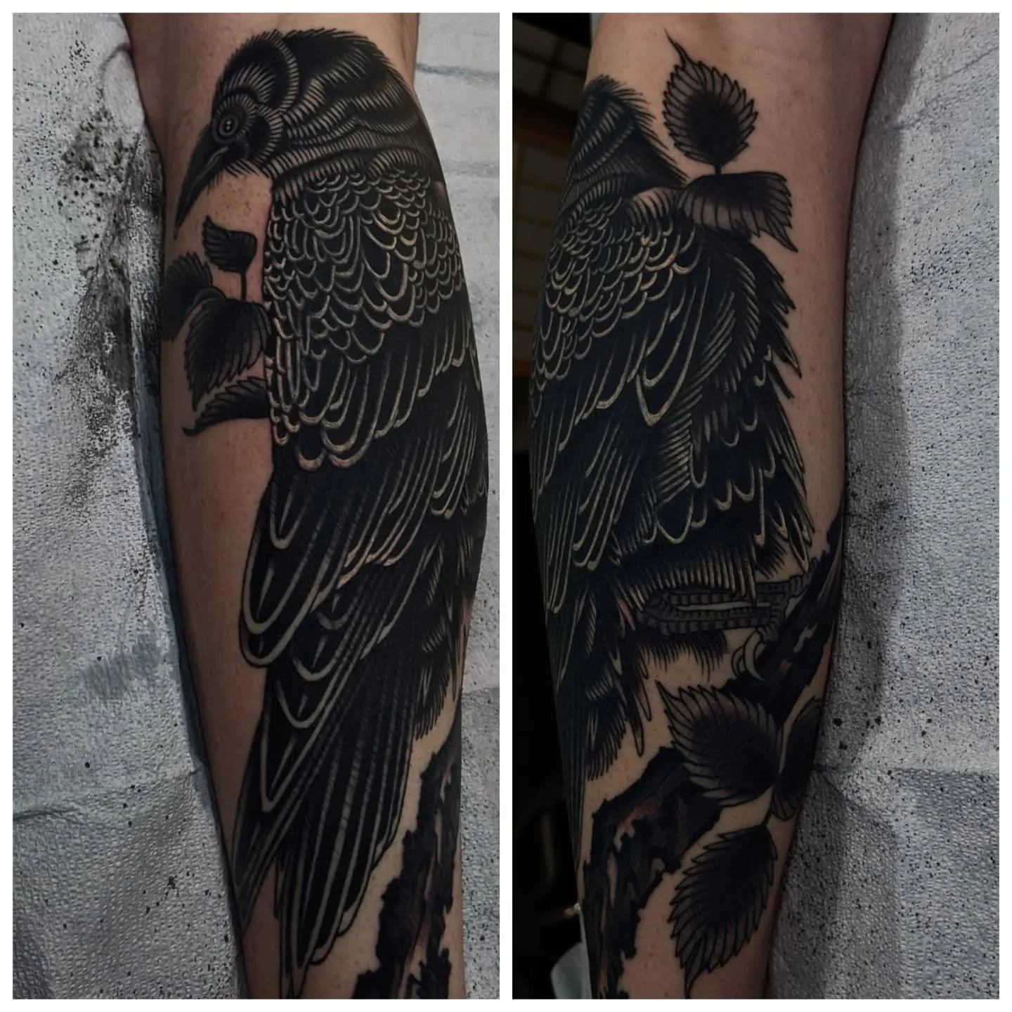 Big cover-up for Geoff. Birds make the best coverups!